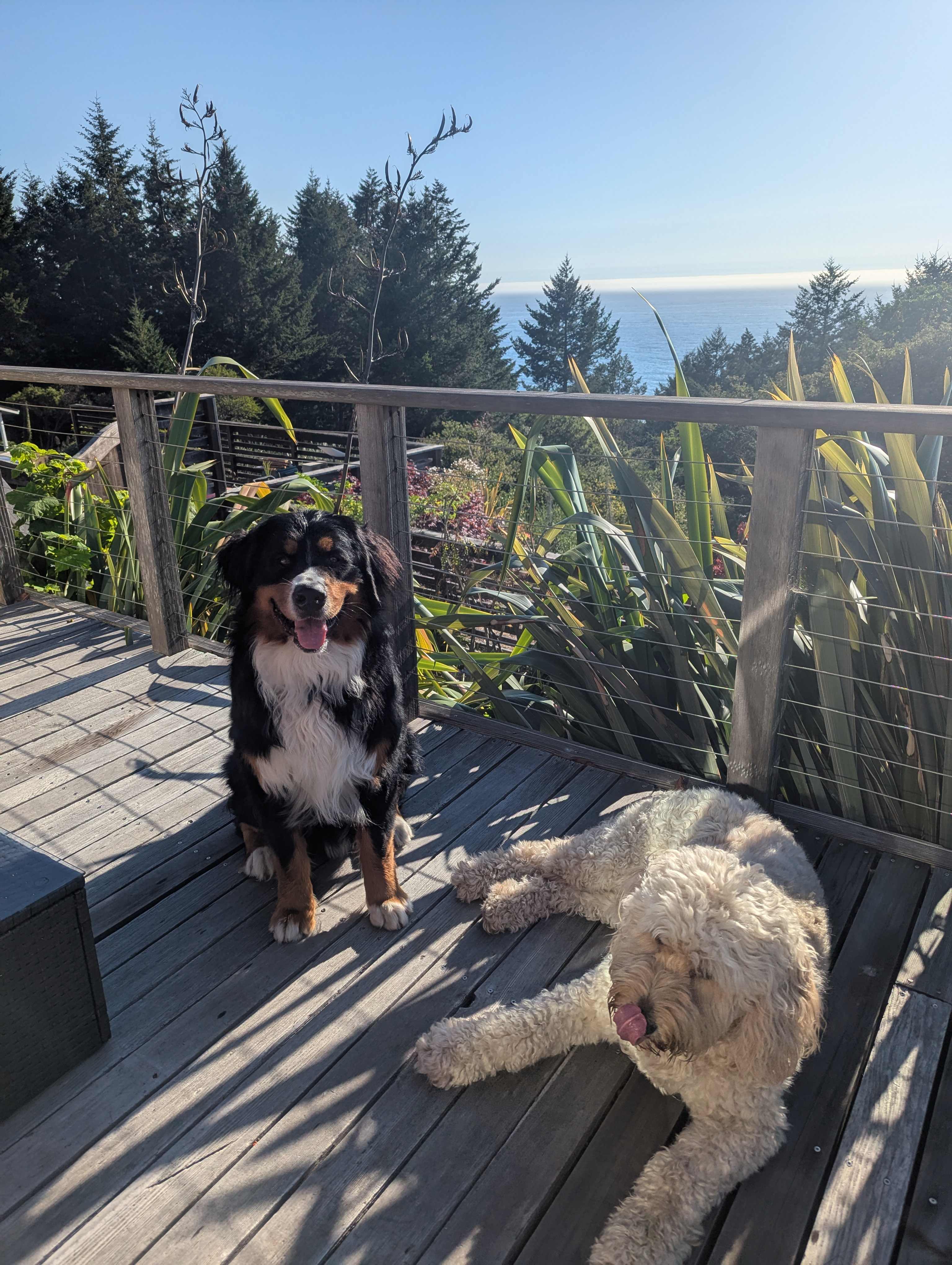 Lost Coast, Oceanview Retreat