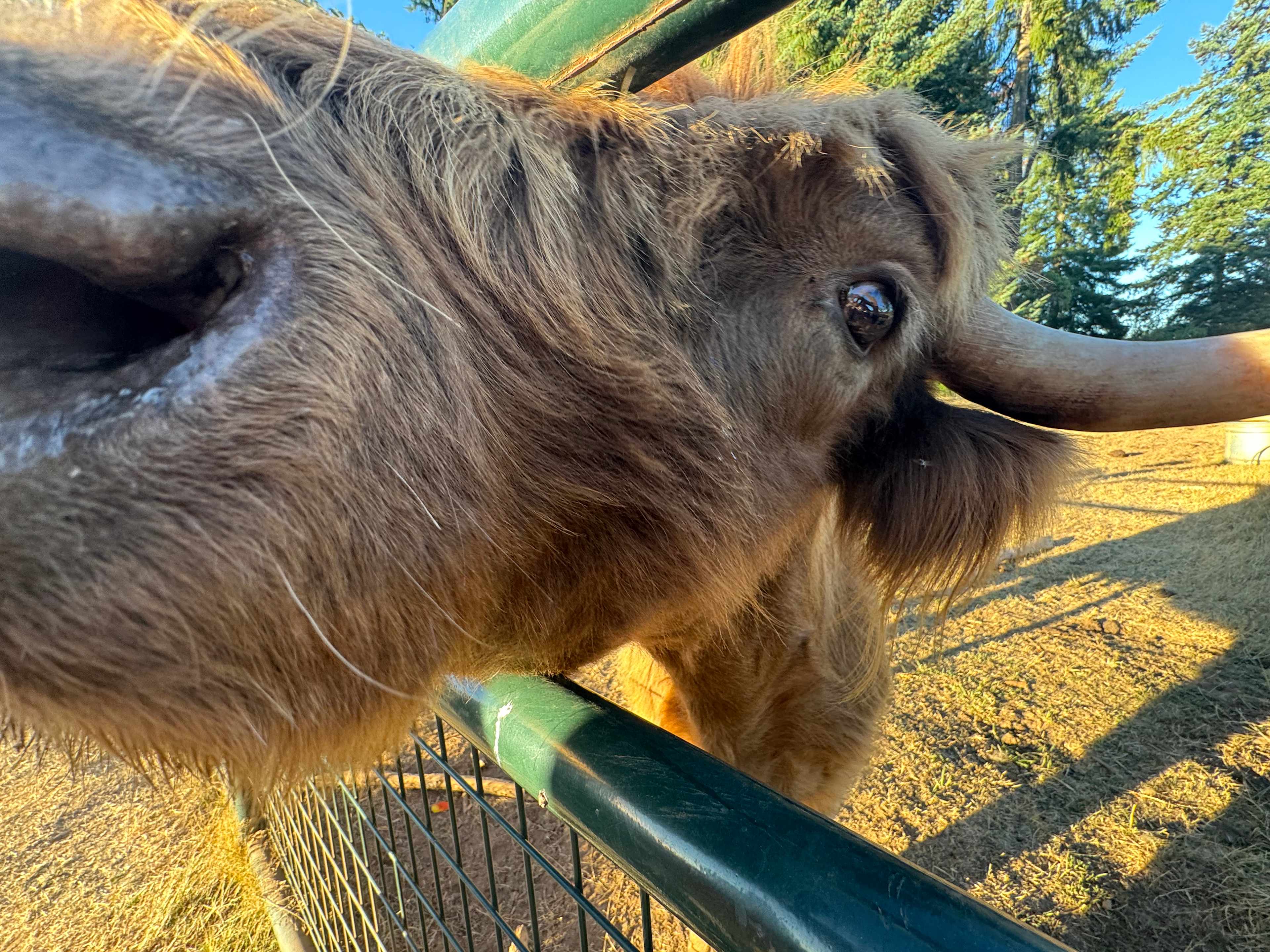 Gather and Feast Farm