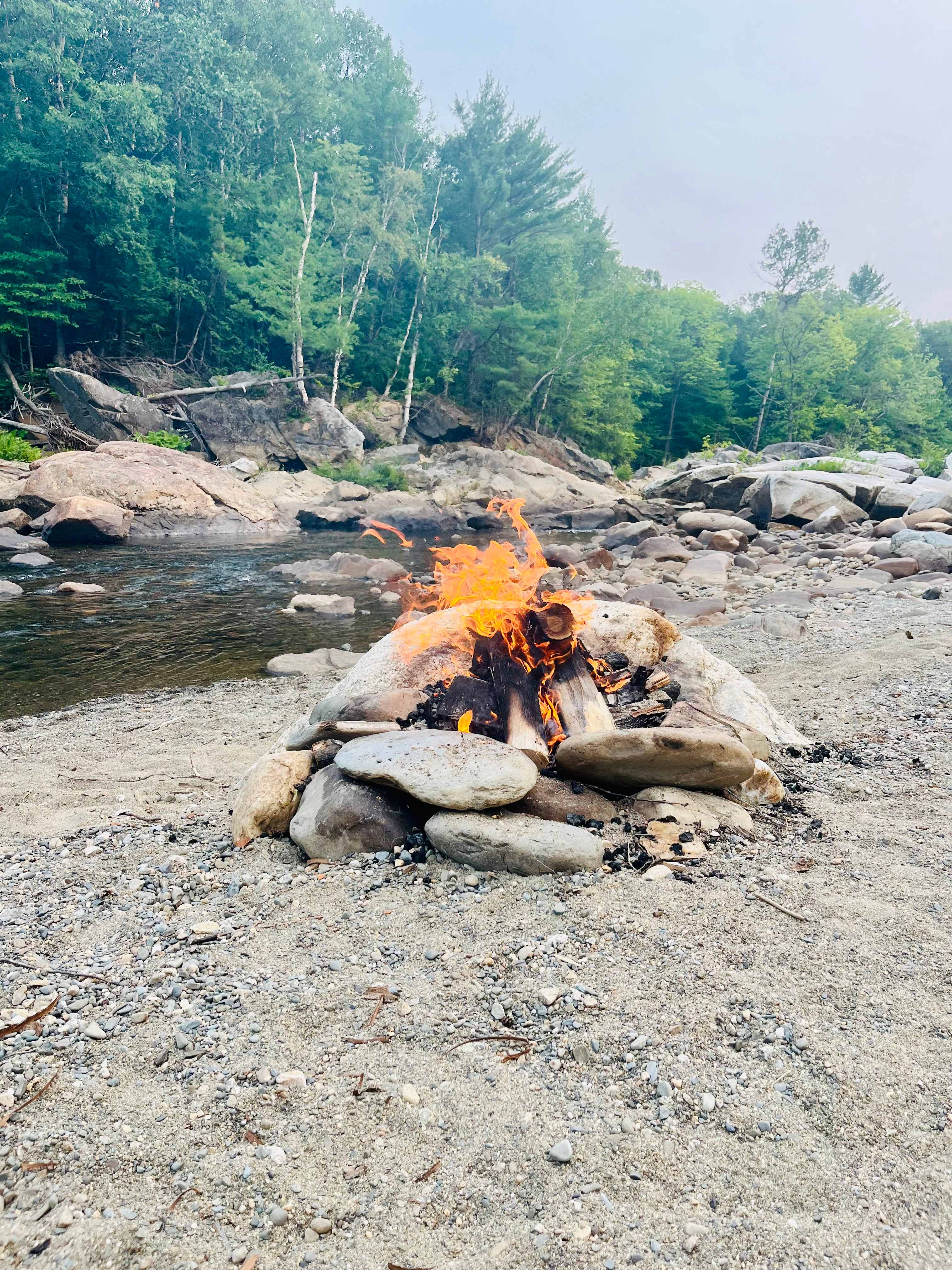 🌲 40 Acres Of Riverfront Serenity