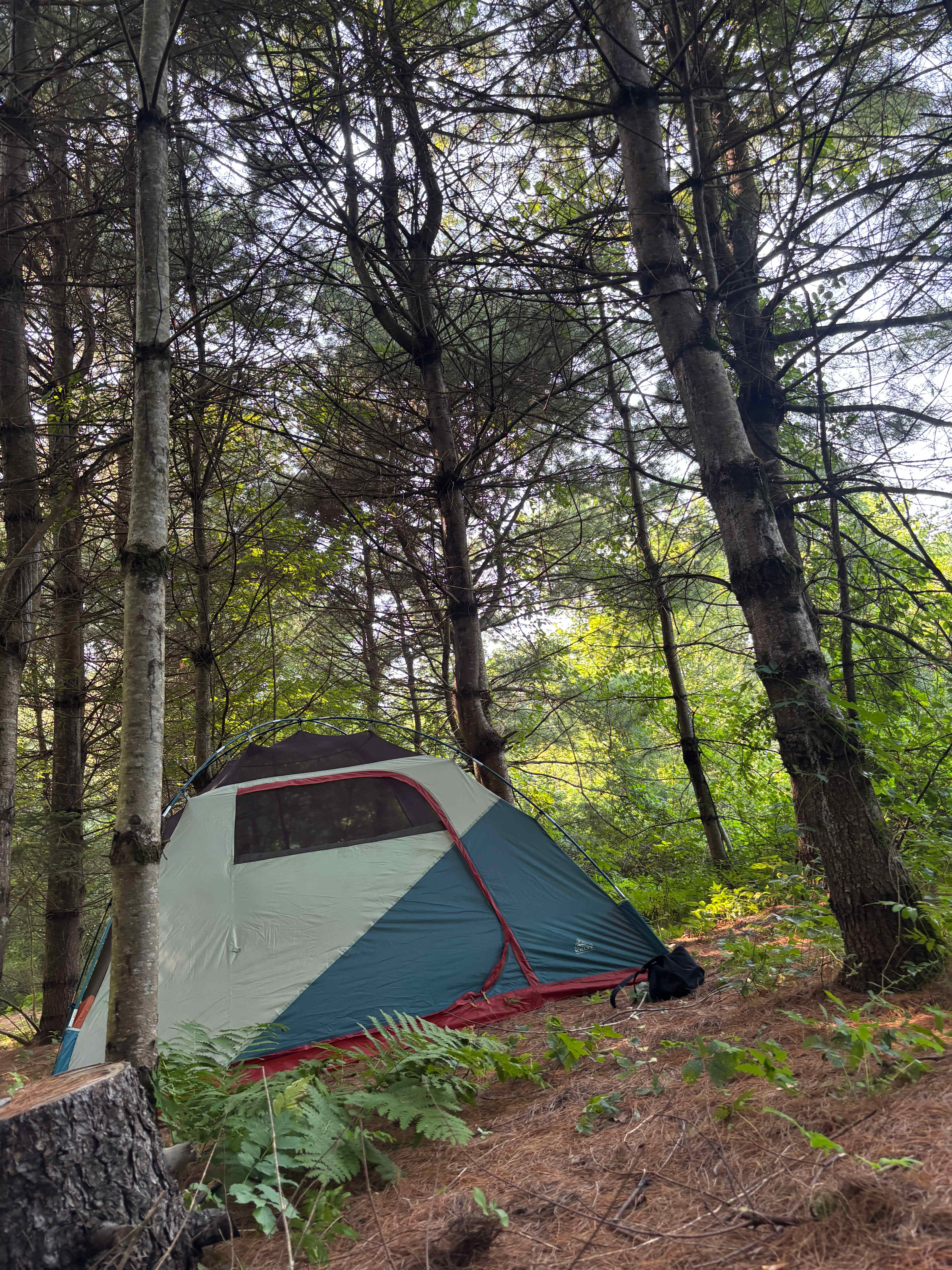 Mountain Rise Farm and Campground
