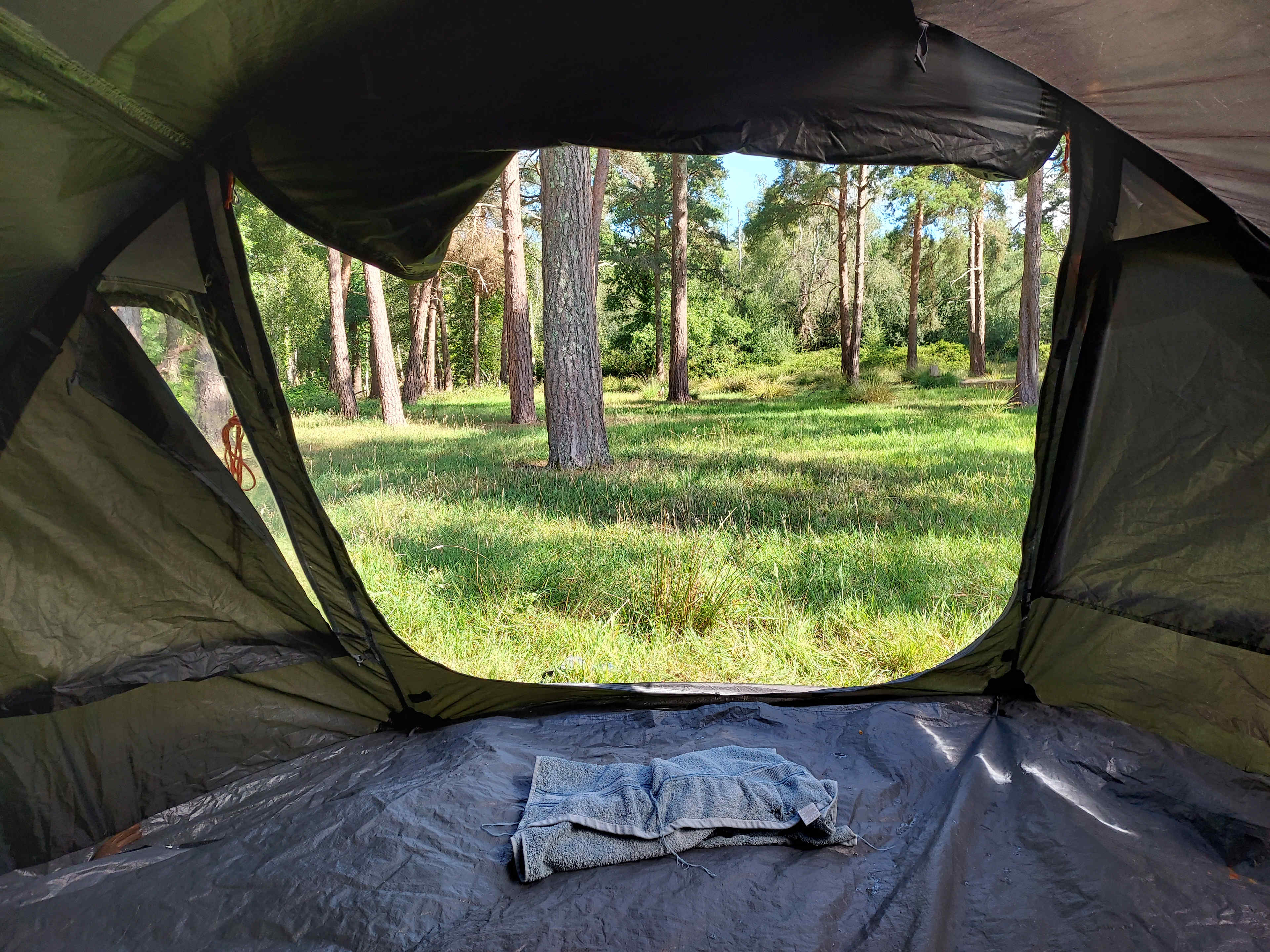 ShelleyOaks Farm Camping New Forest