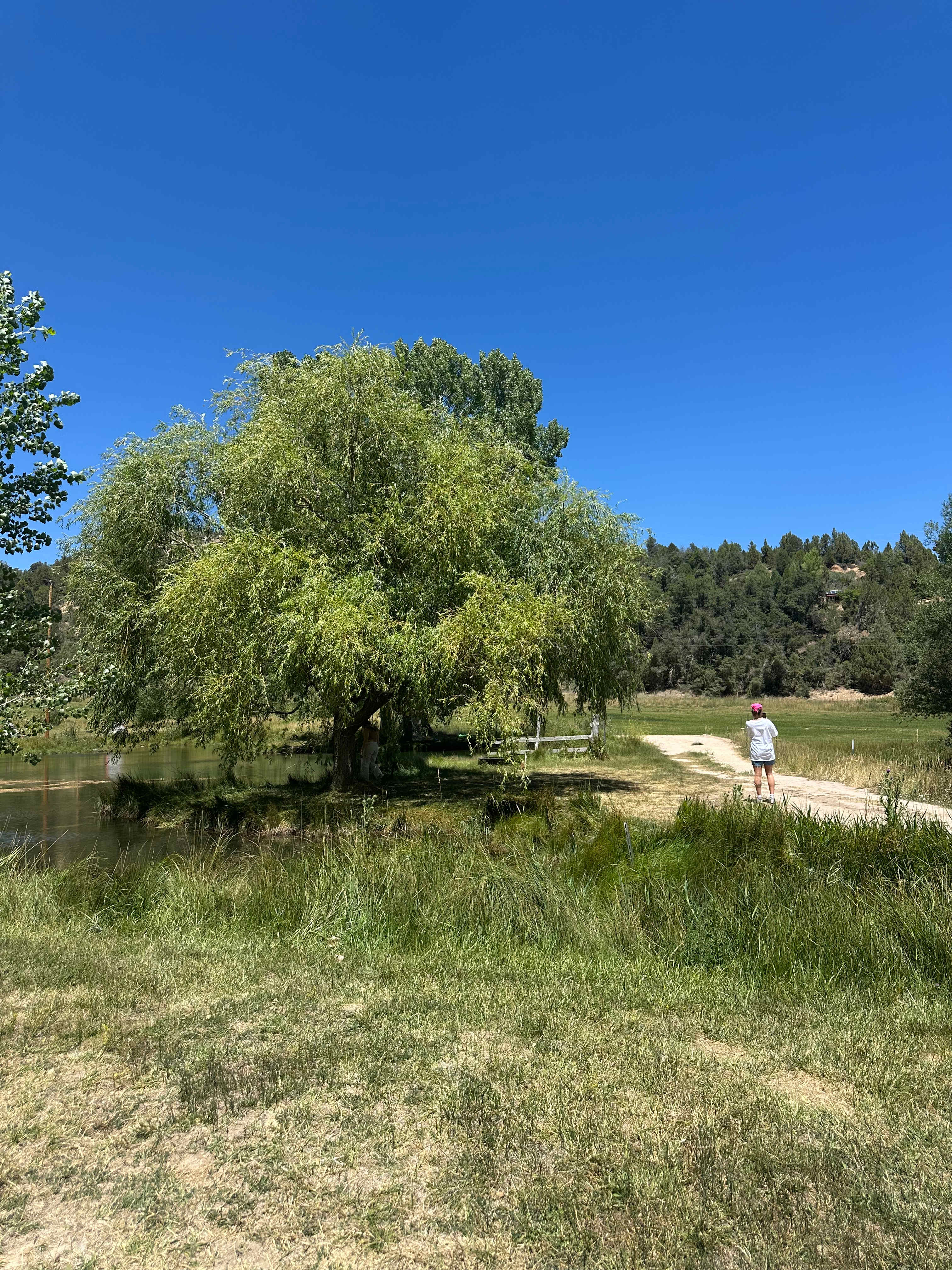 Zion Family Ranch Campground and RV
