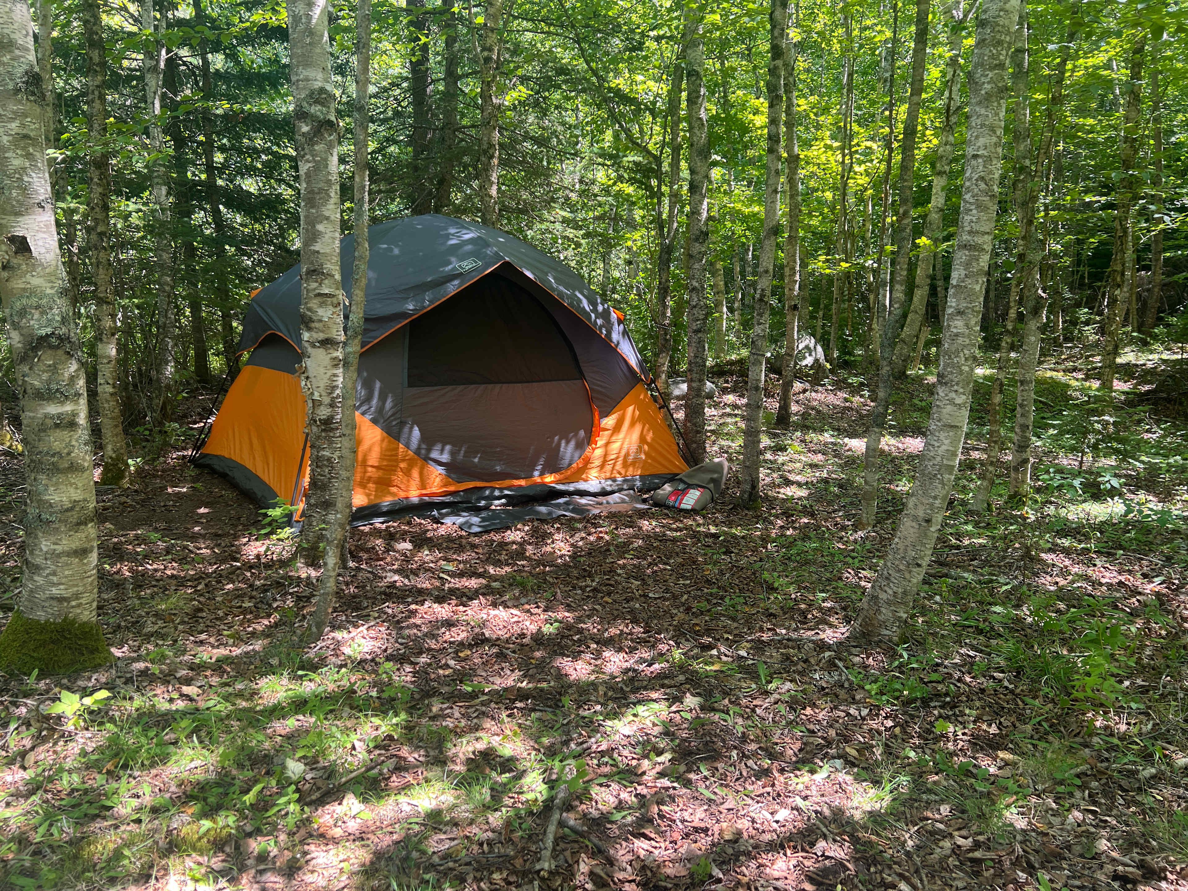 Mother Mushroom Brewery & Farmstay