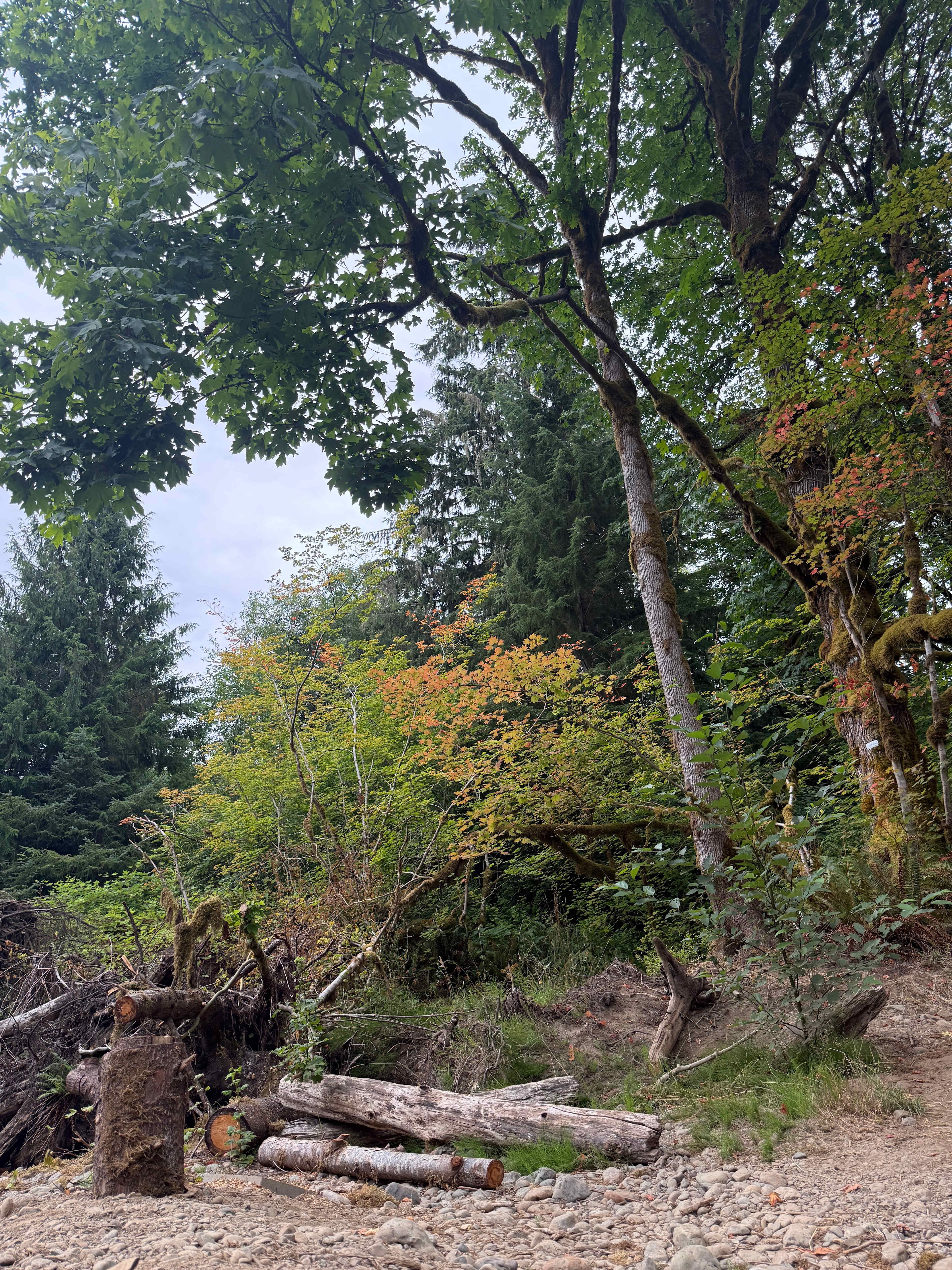 Tranquil Acres