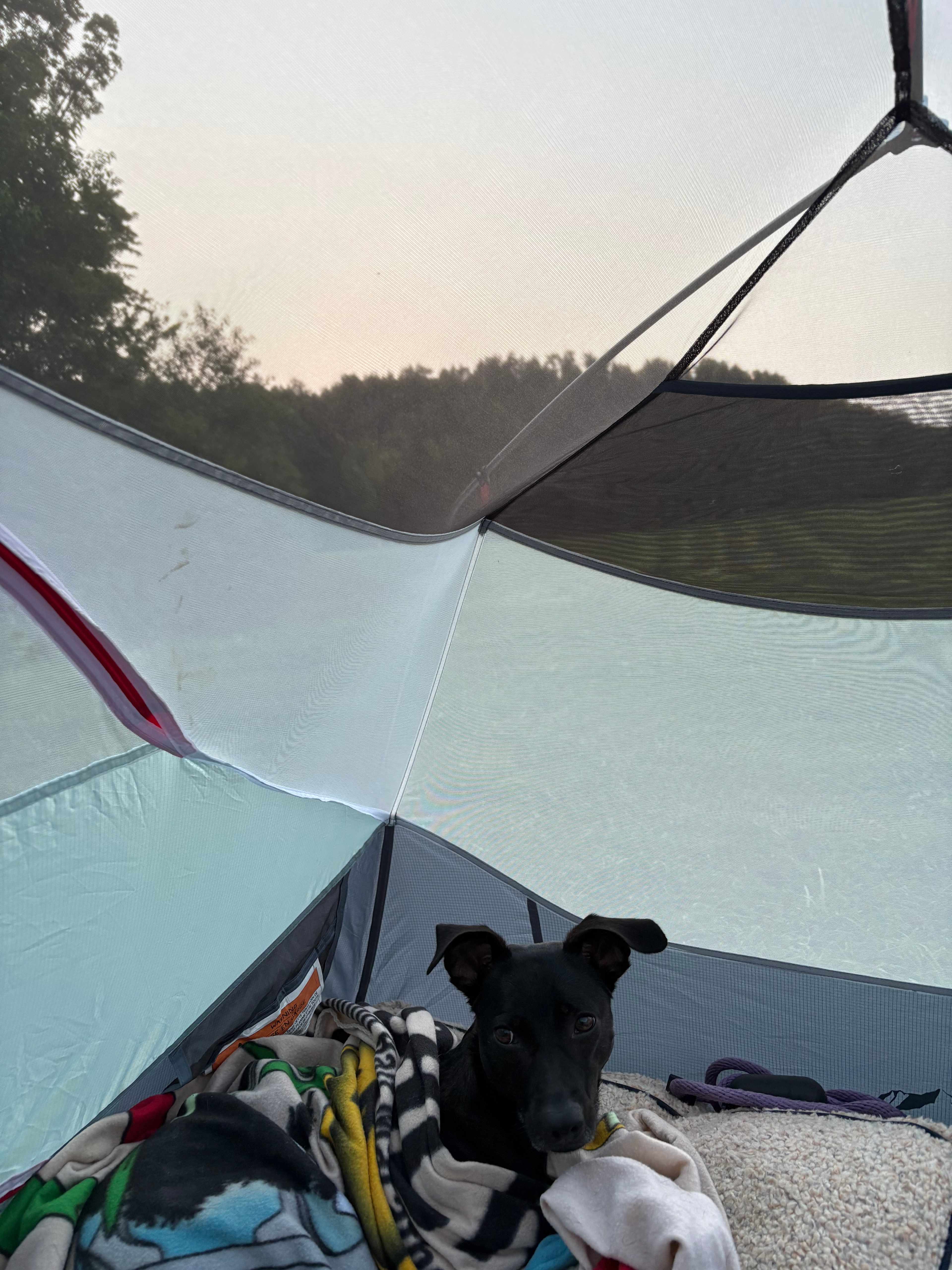 Black Creek Maple Off Grid Camp