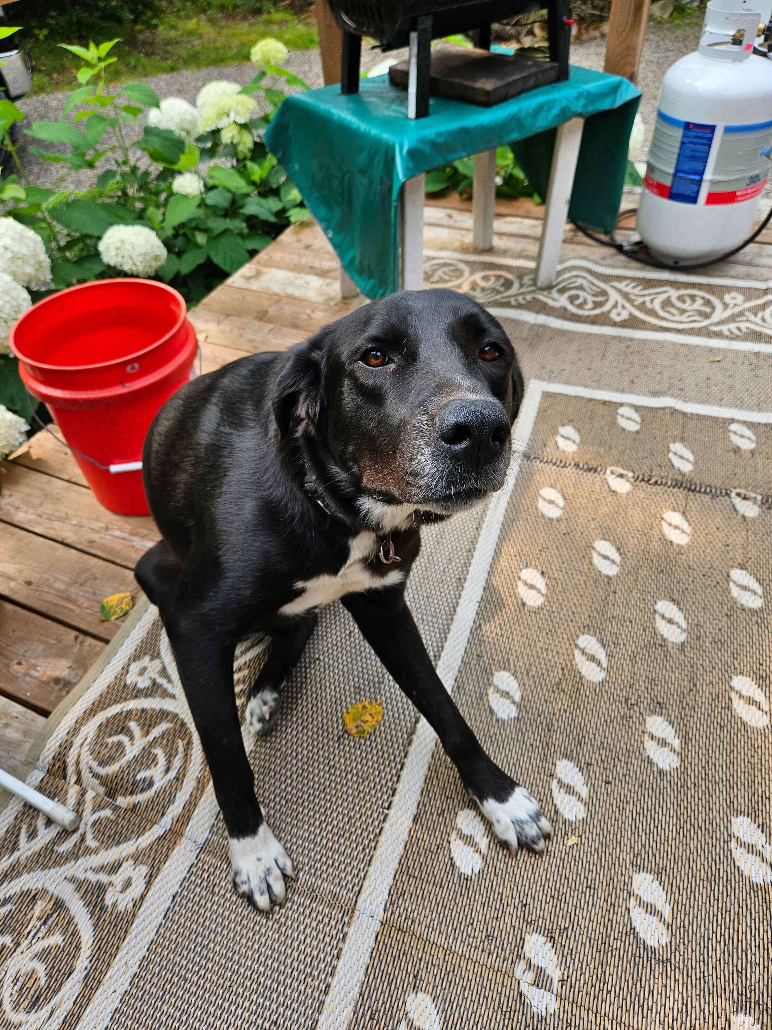 Hidden Gem on Lorwell Lake