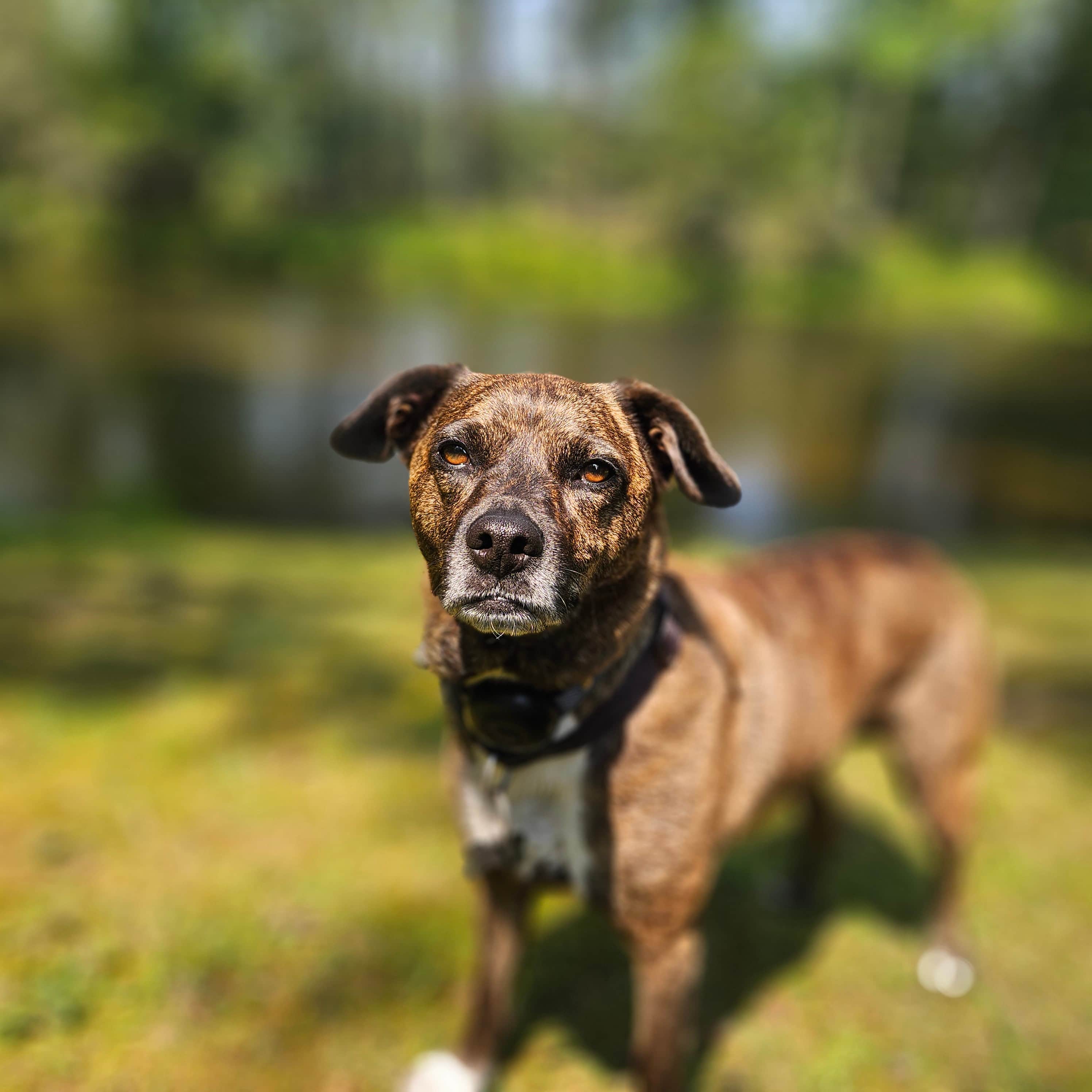 Neversink Sanctuary - Private Camp