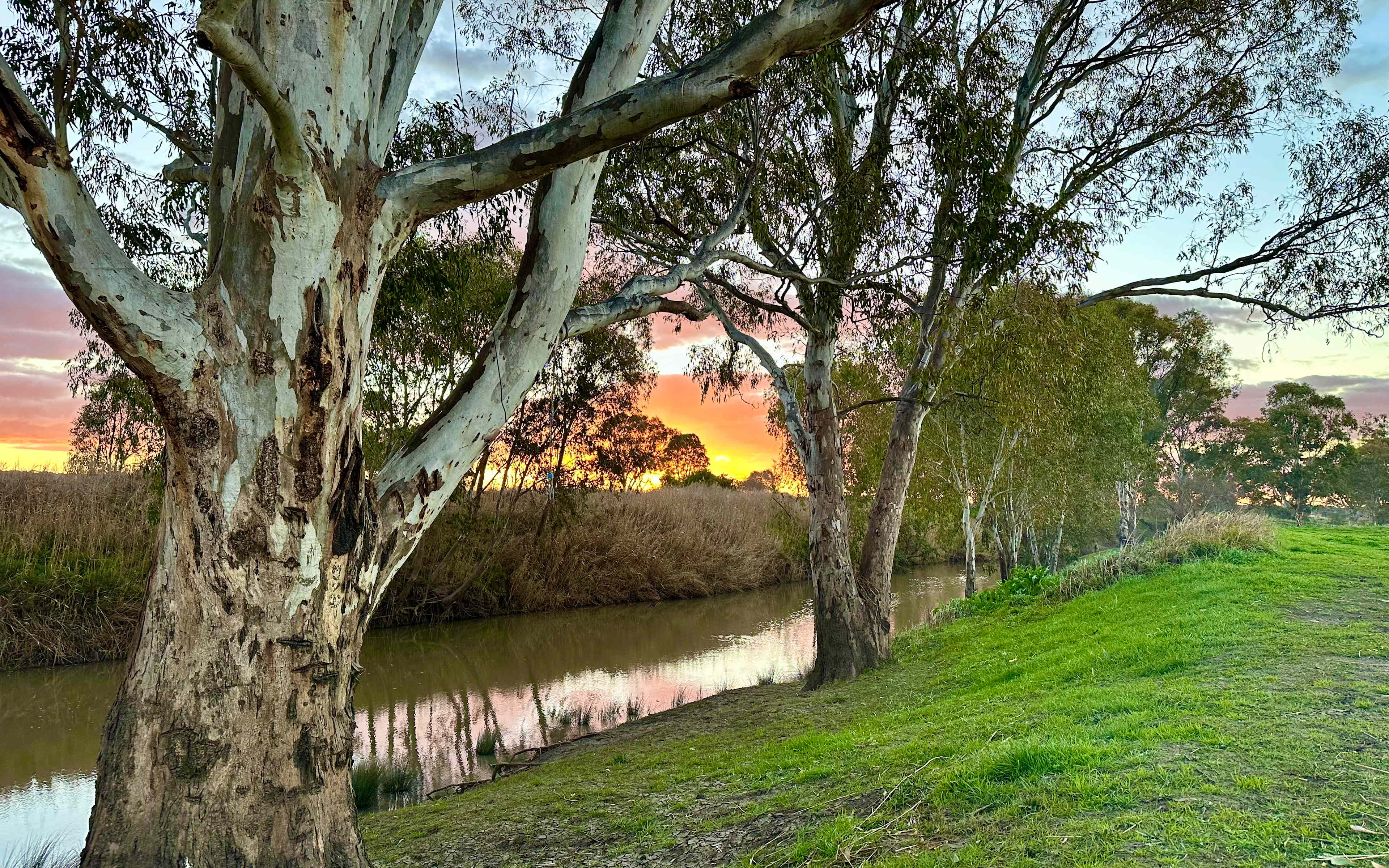 Warrego Farm