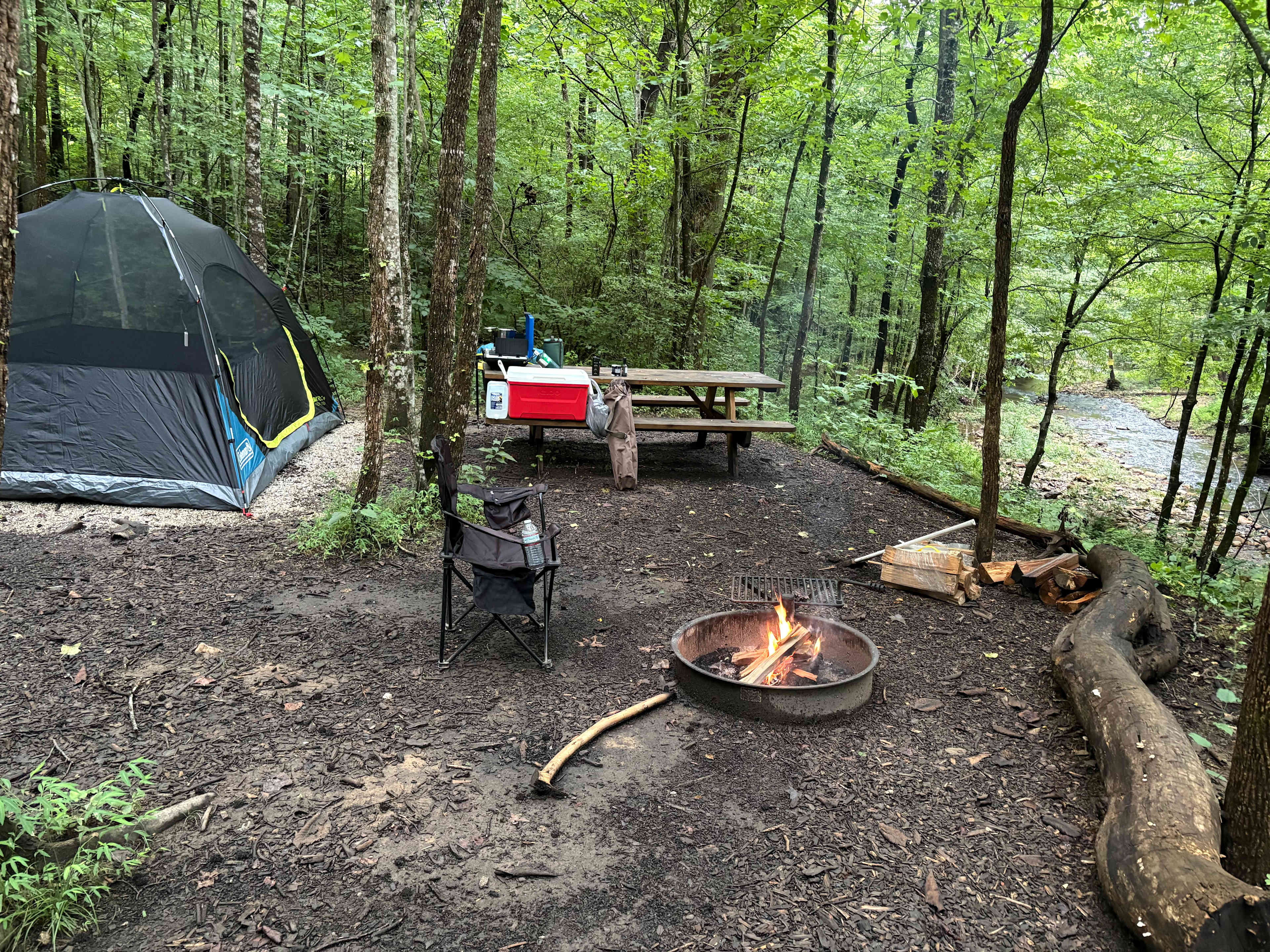 TangleWood Creekside Campsites