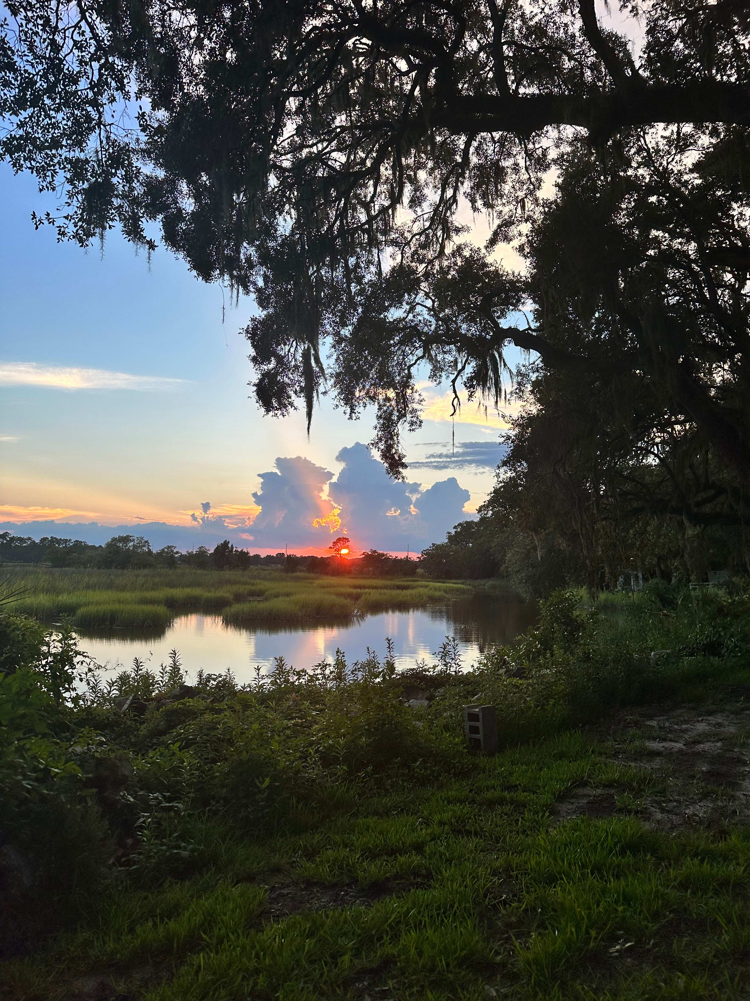 Paradise Under The Oaks