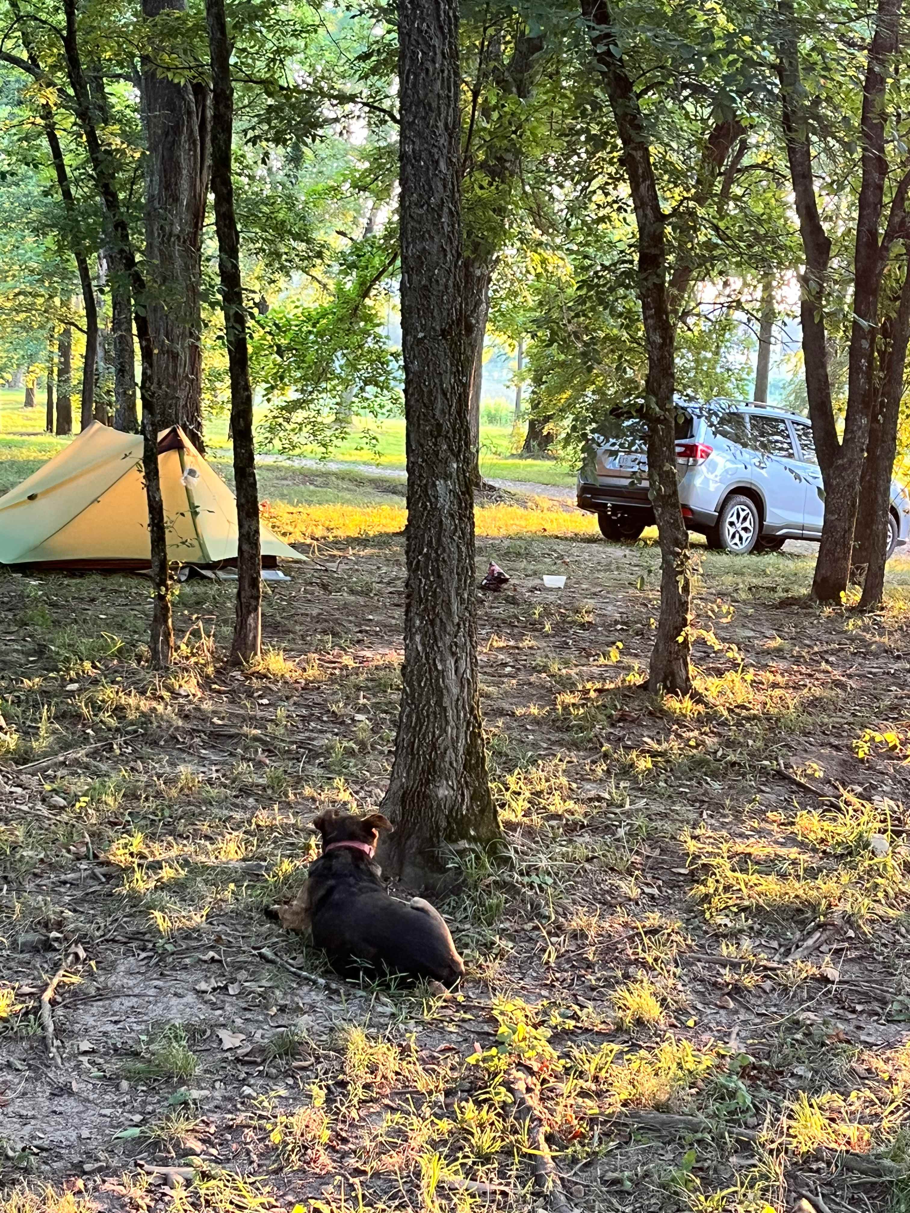 Buehler Farms Glamp site 1