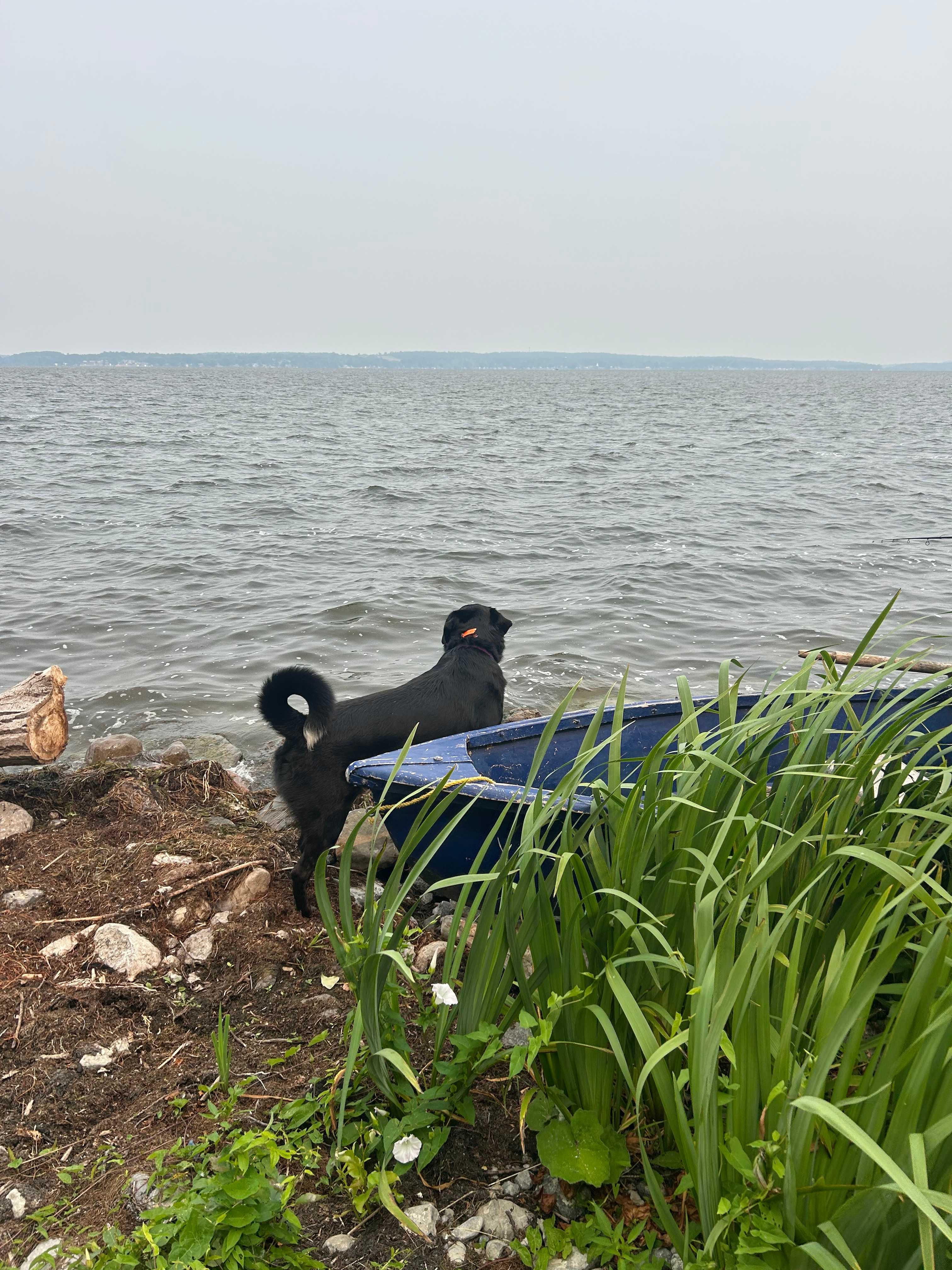 Tranquil Glamping Getaway!