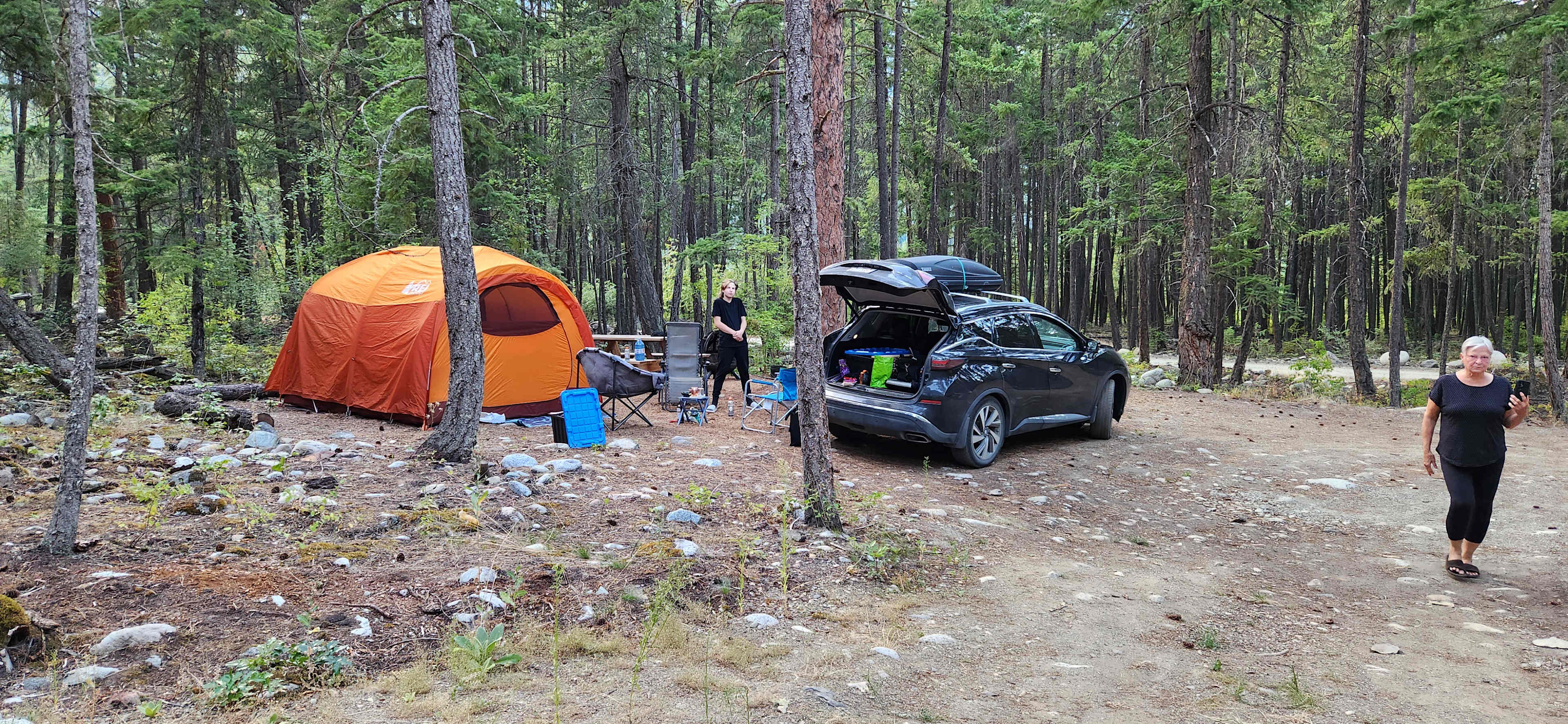 Our site - the Ponderosa