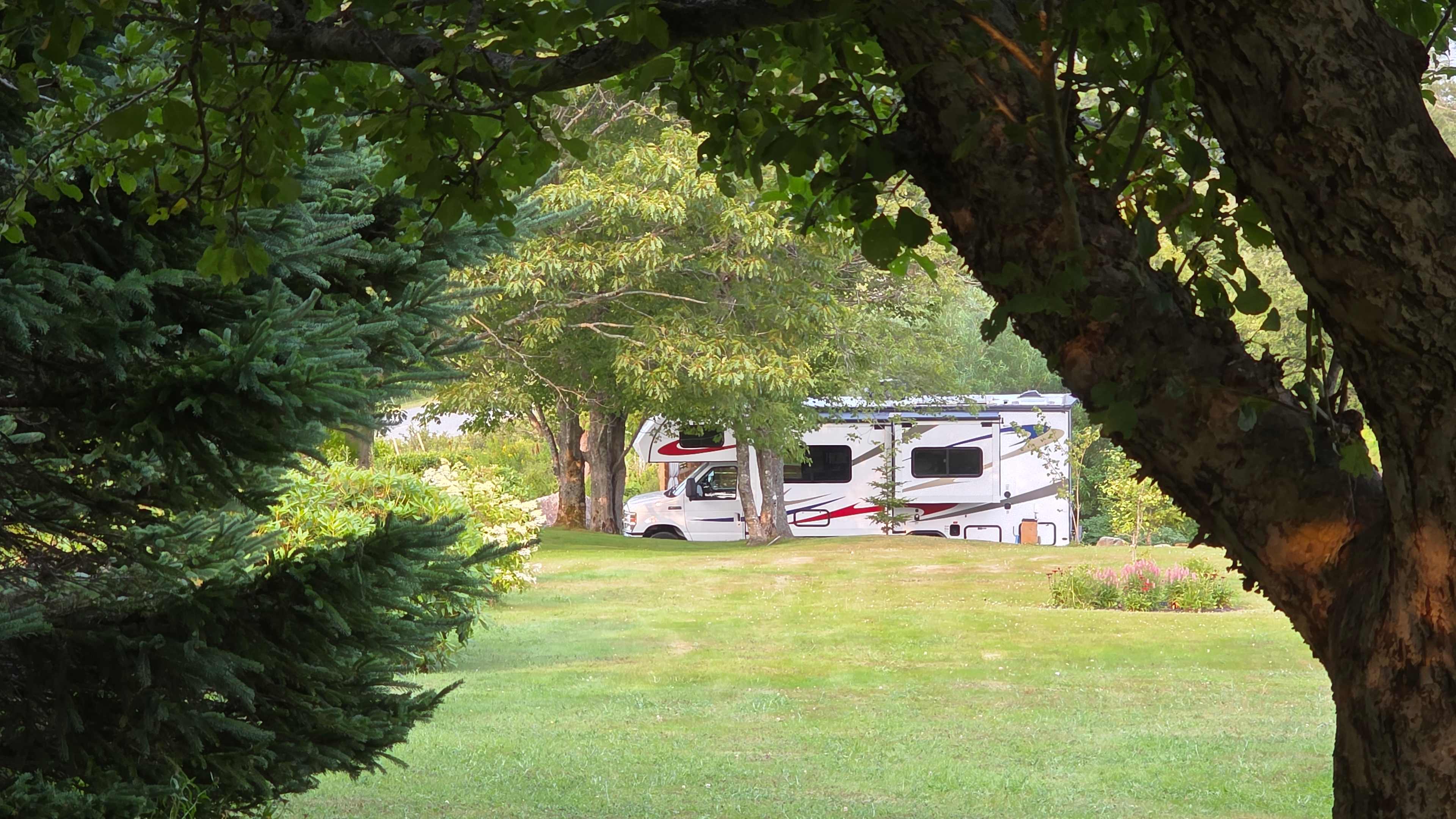 Blueberry Run Trail RV Site