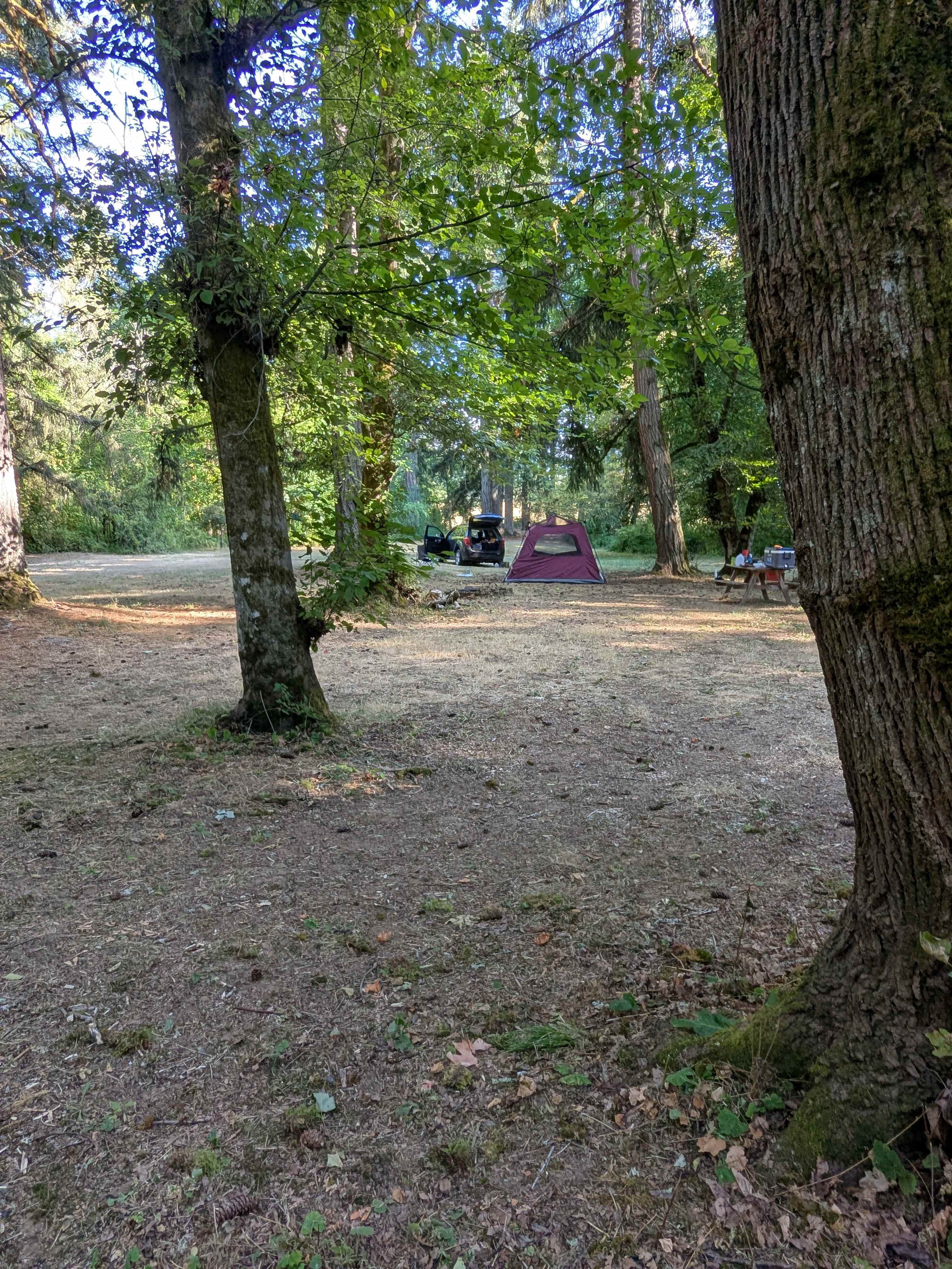 Back of camp looking toward entrance 
