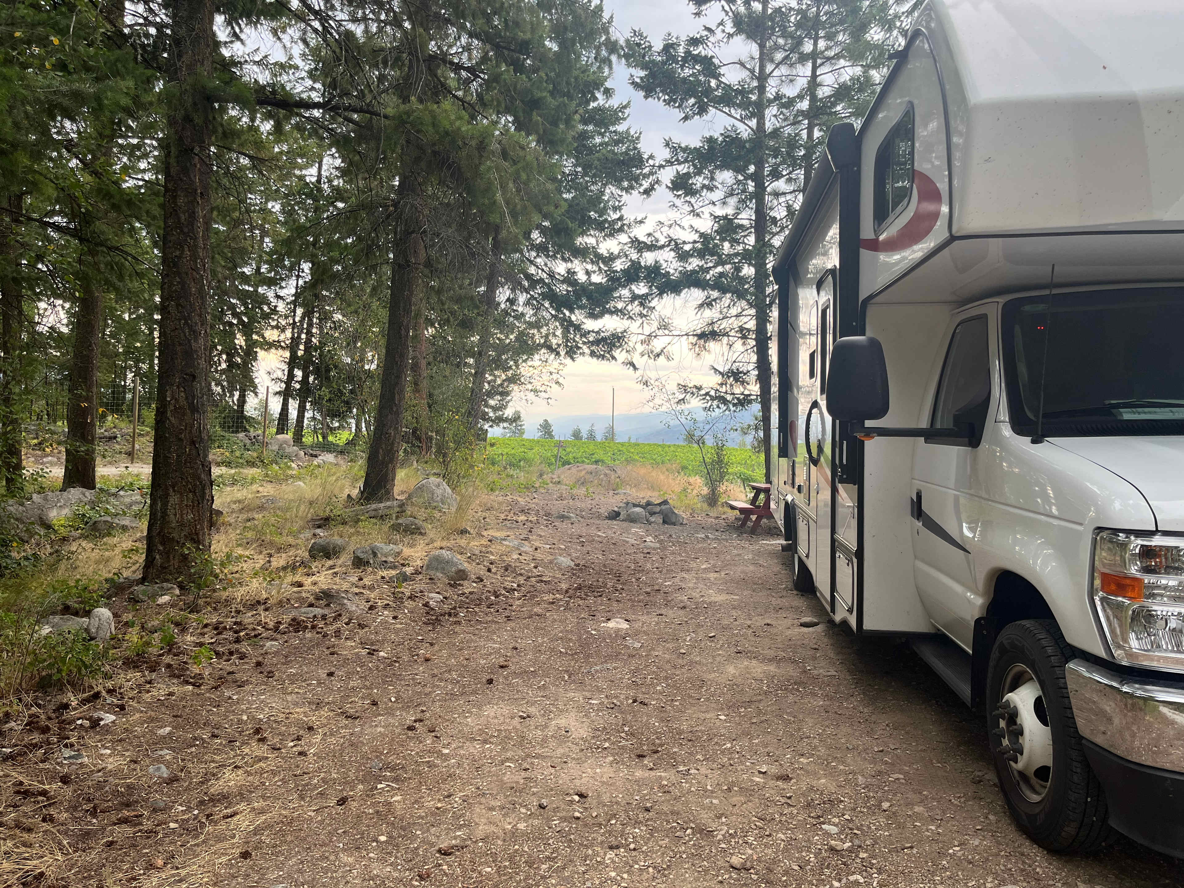 Back Forty Vineyards