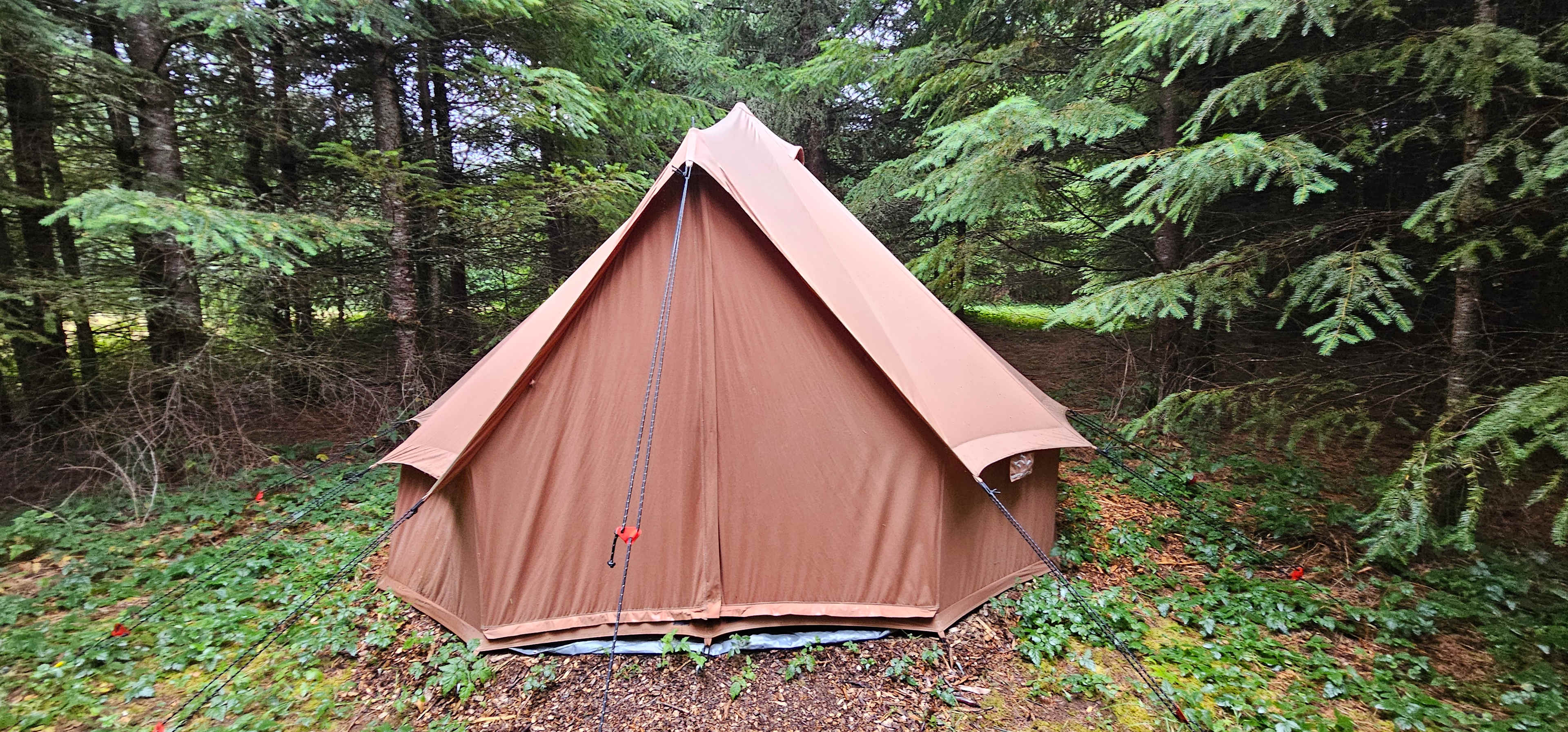 Hoodland Basecamp at Scrumpy Farest