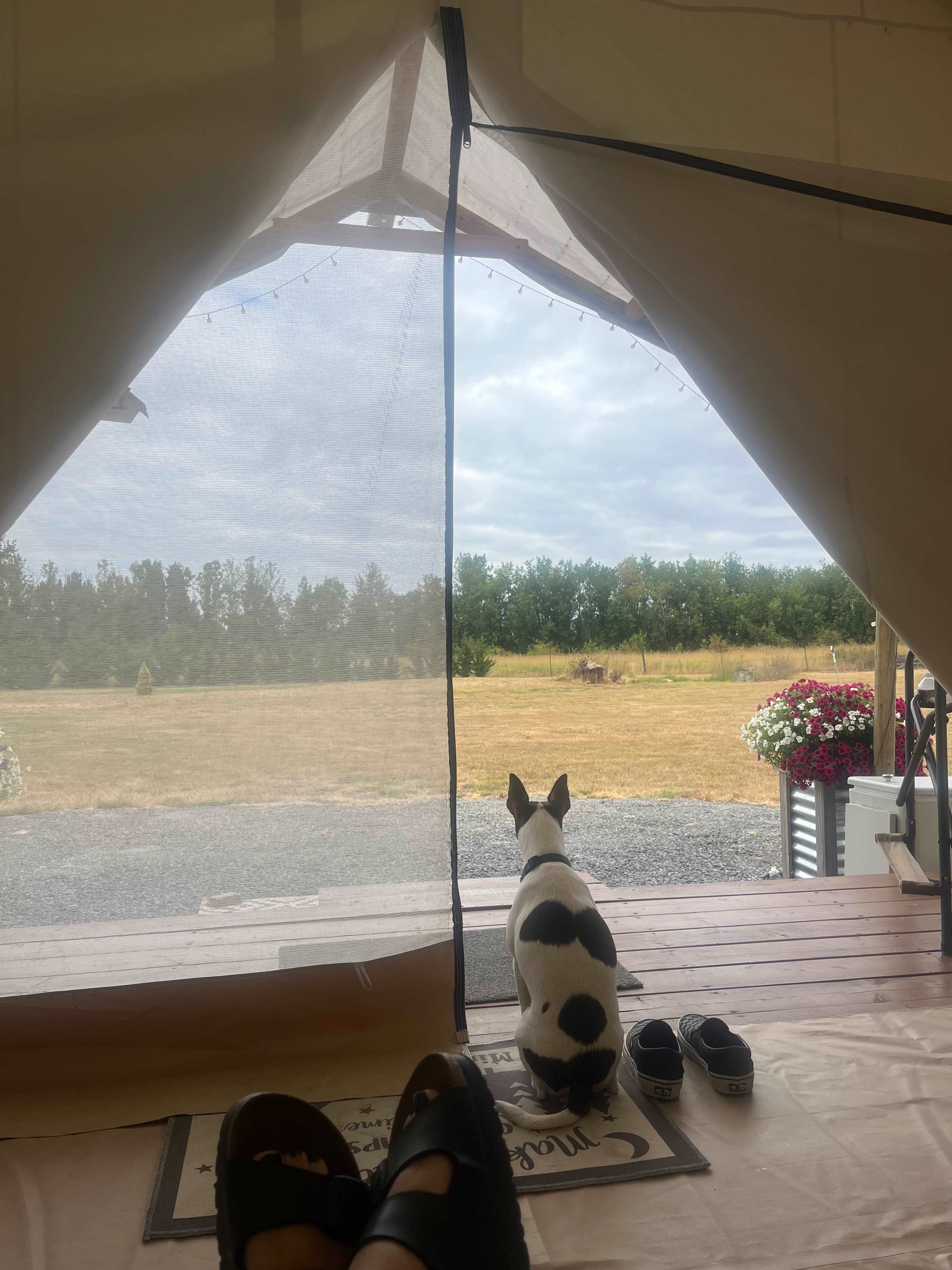 Miranda's Farm and Recreation