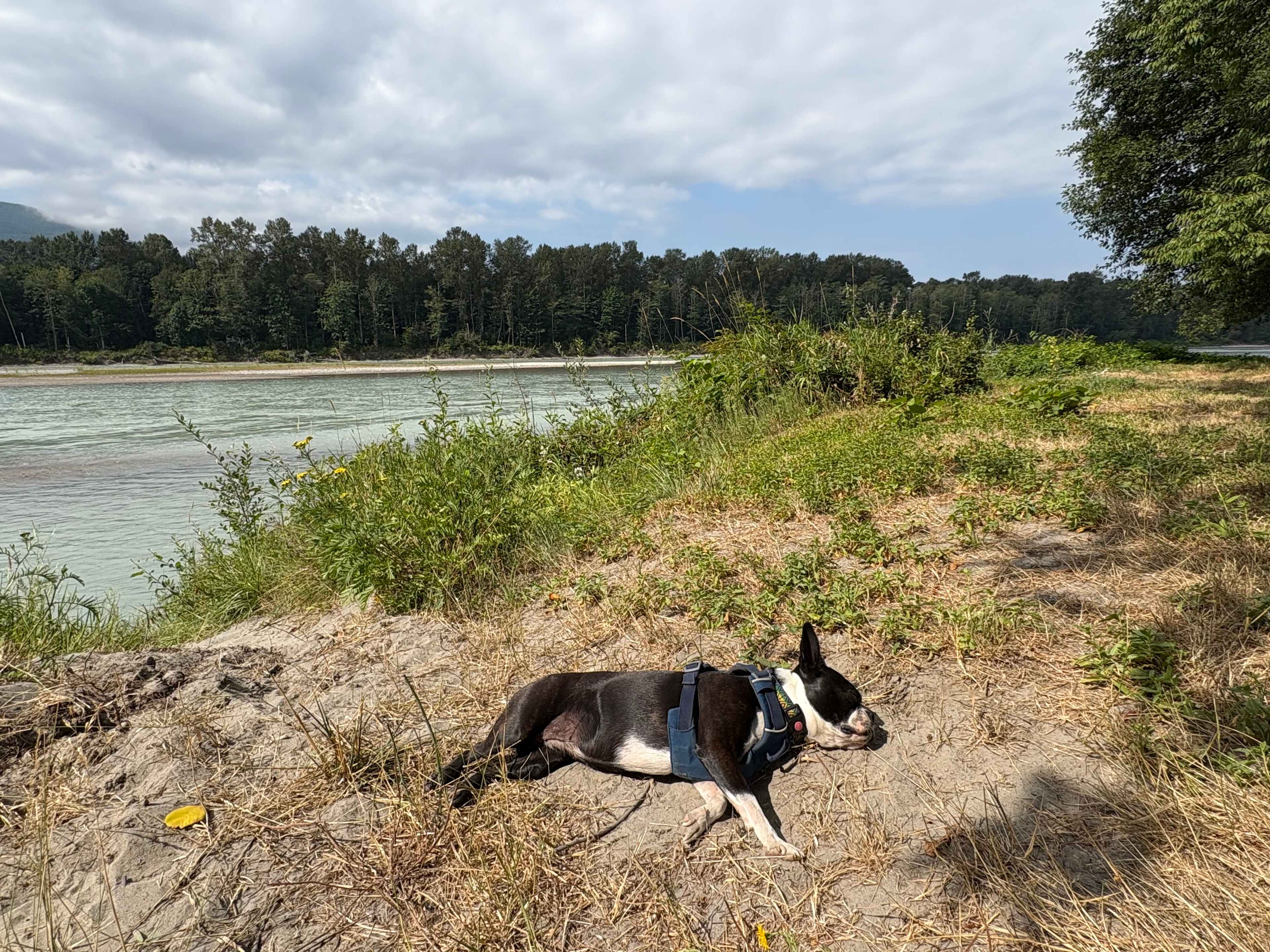 Skagit river camping and sauna