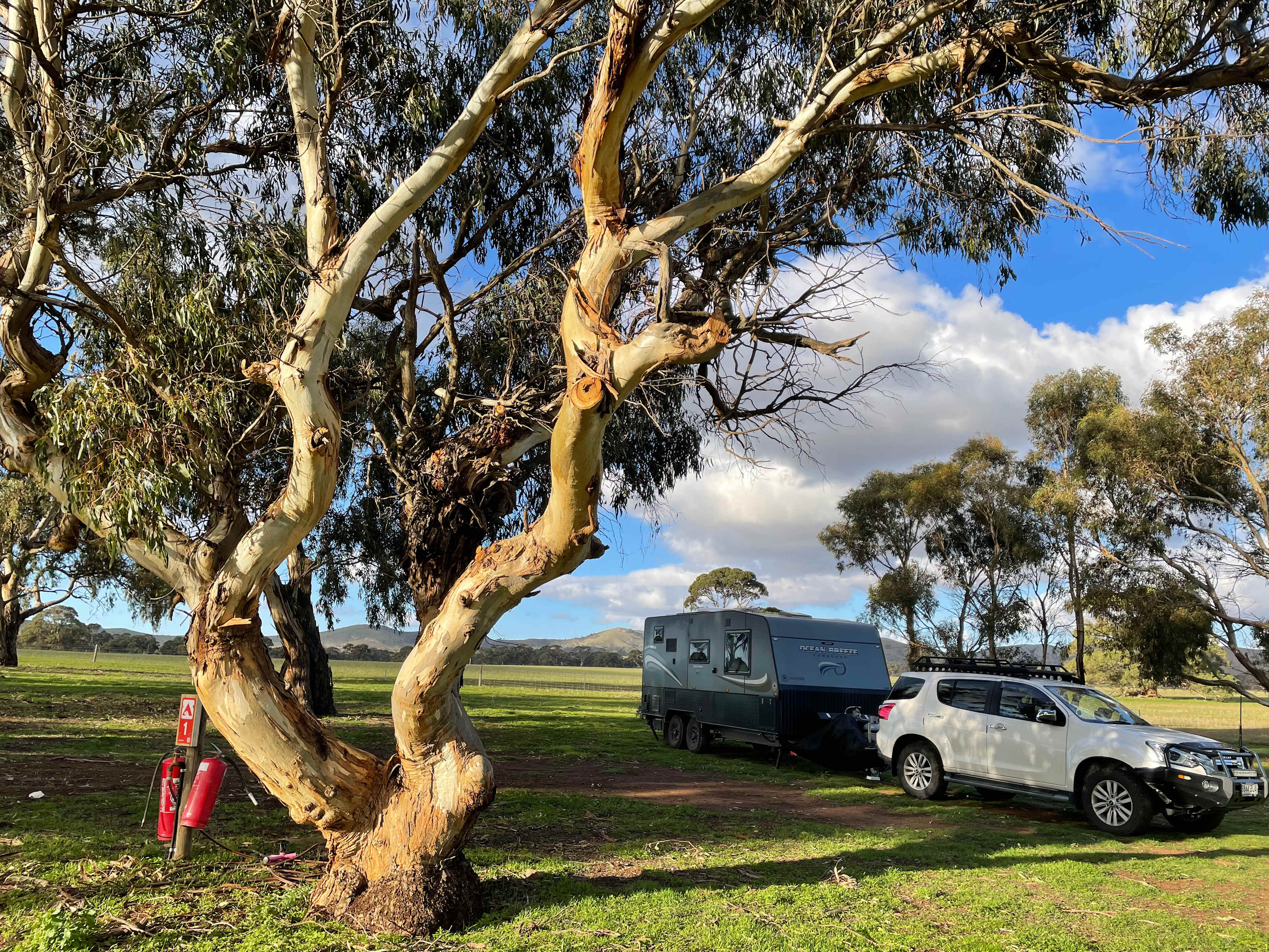 Cartapo Creek - Farm Stay