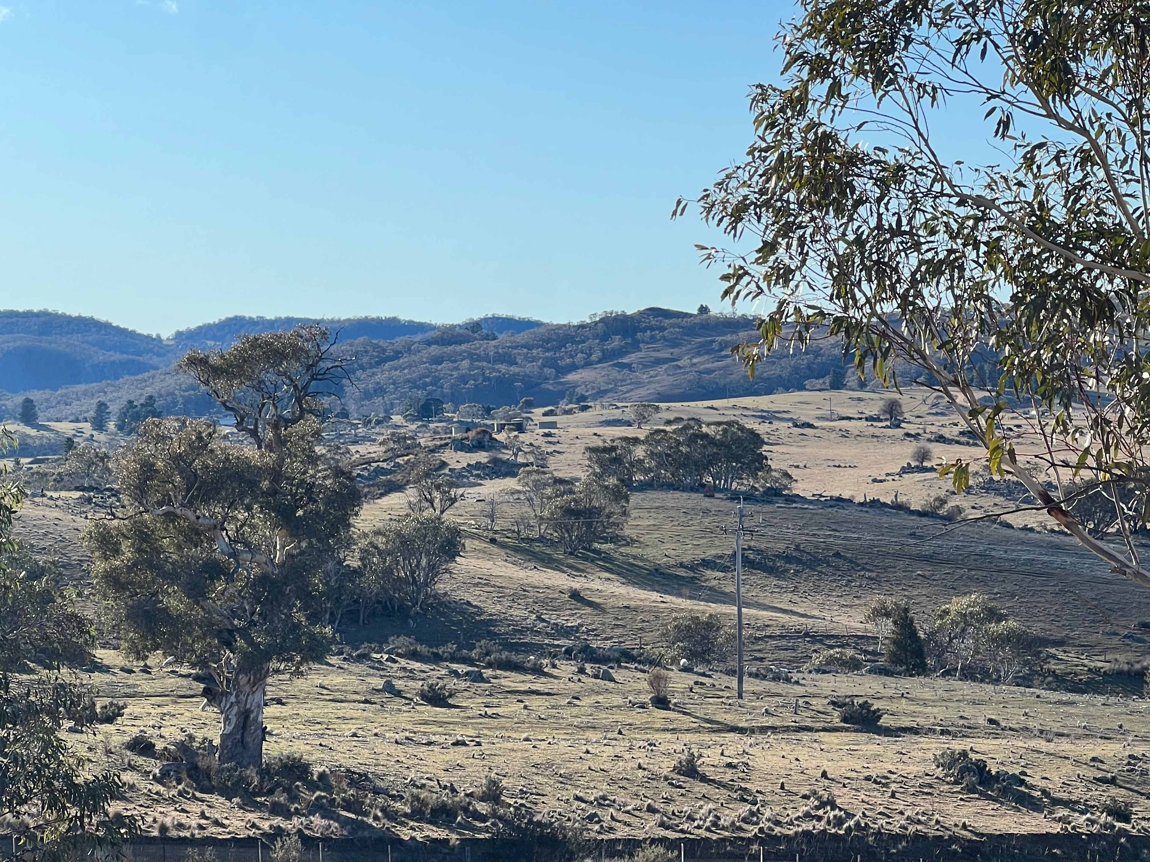 View across the valley. 