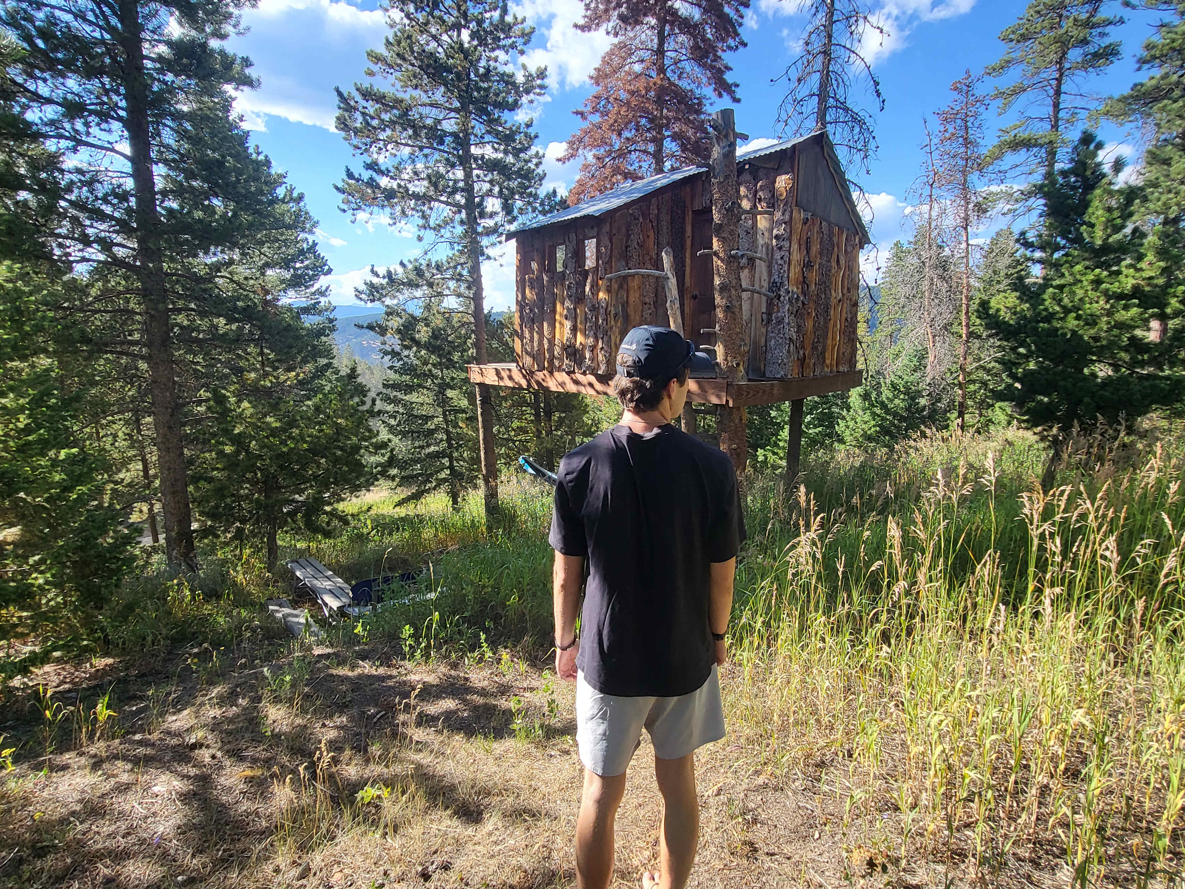 Gold Nugget Tree House