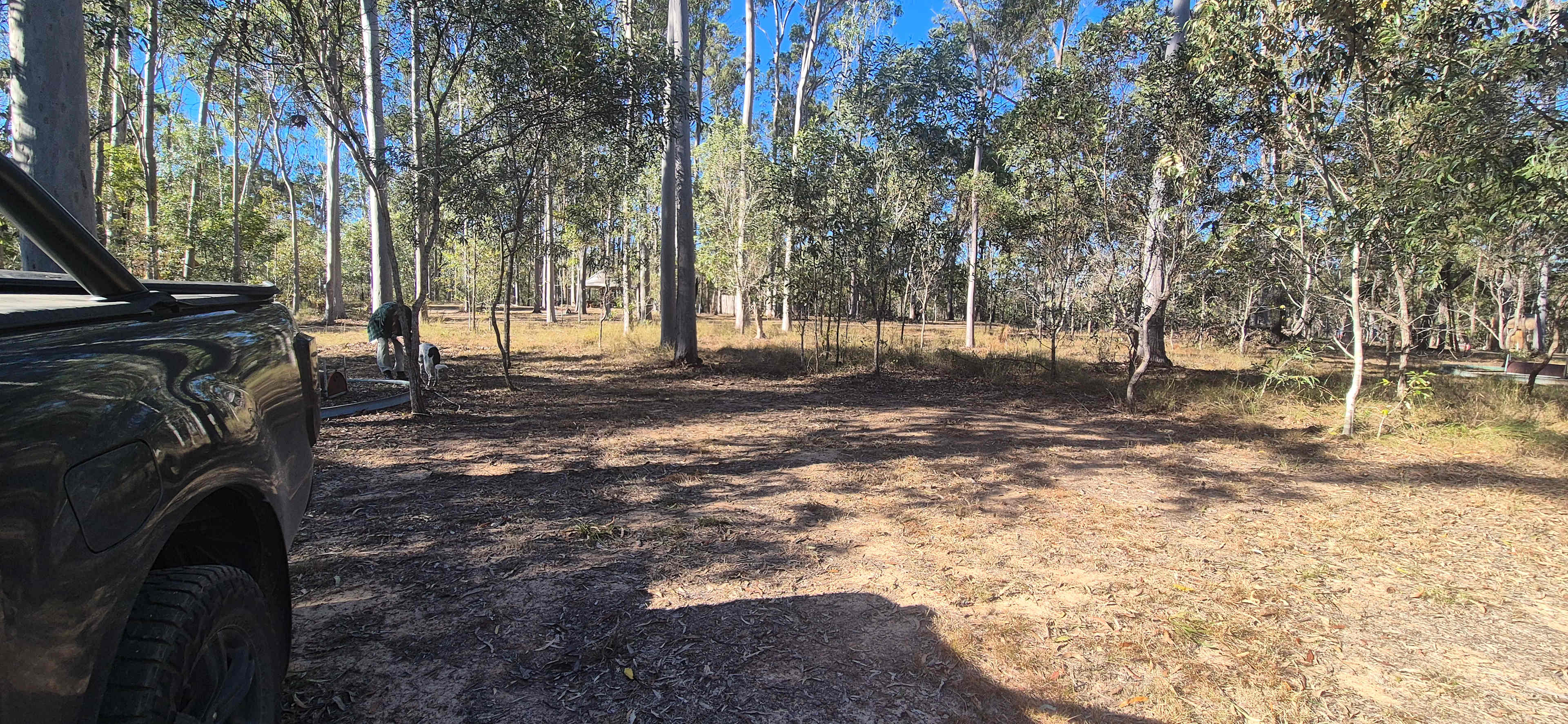 Circles In The Forest bush camp