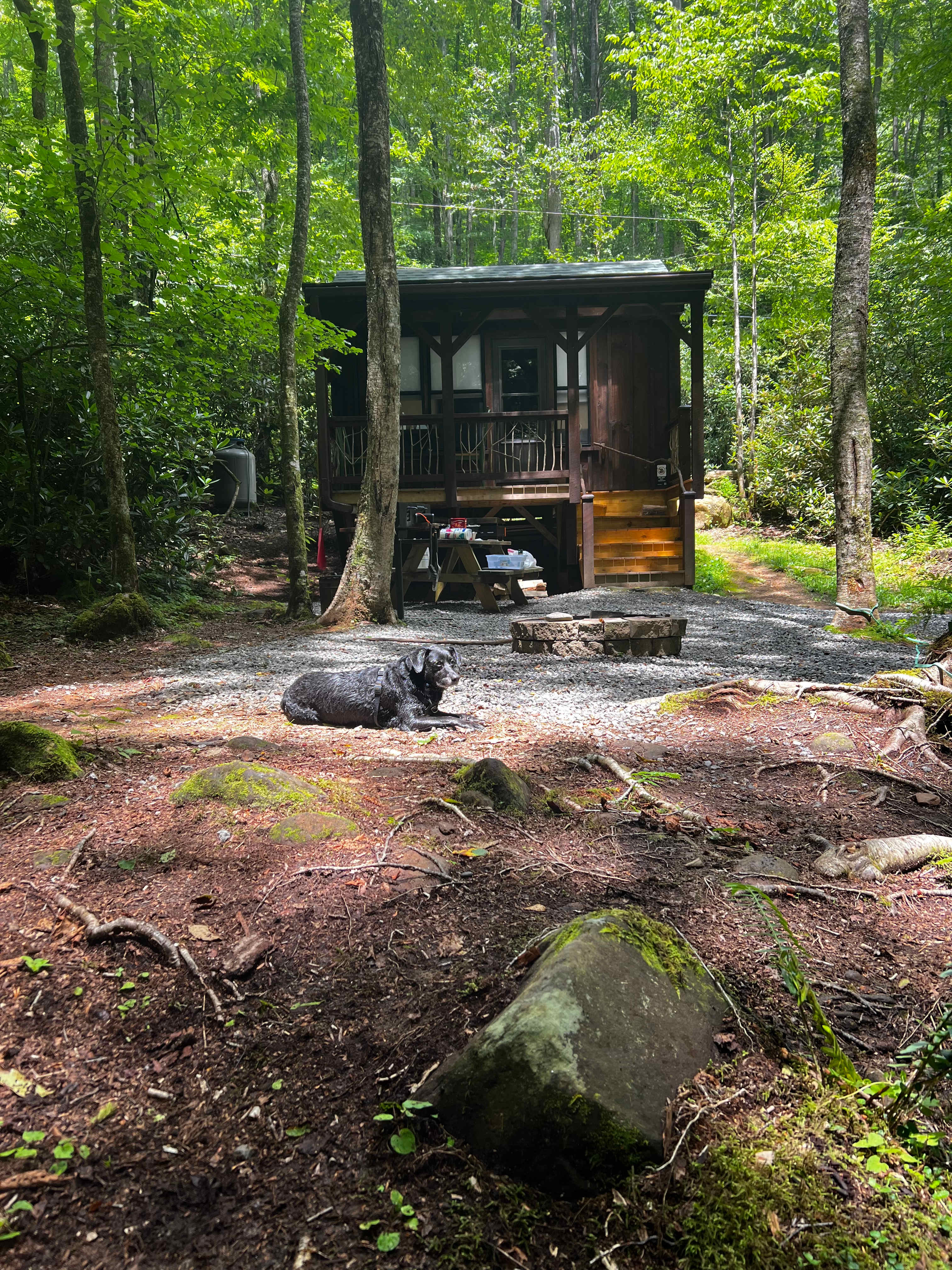 Mountain Creek Rest