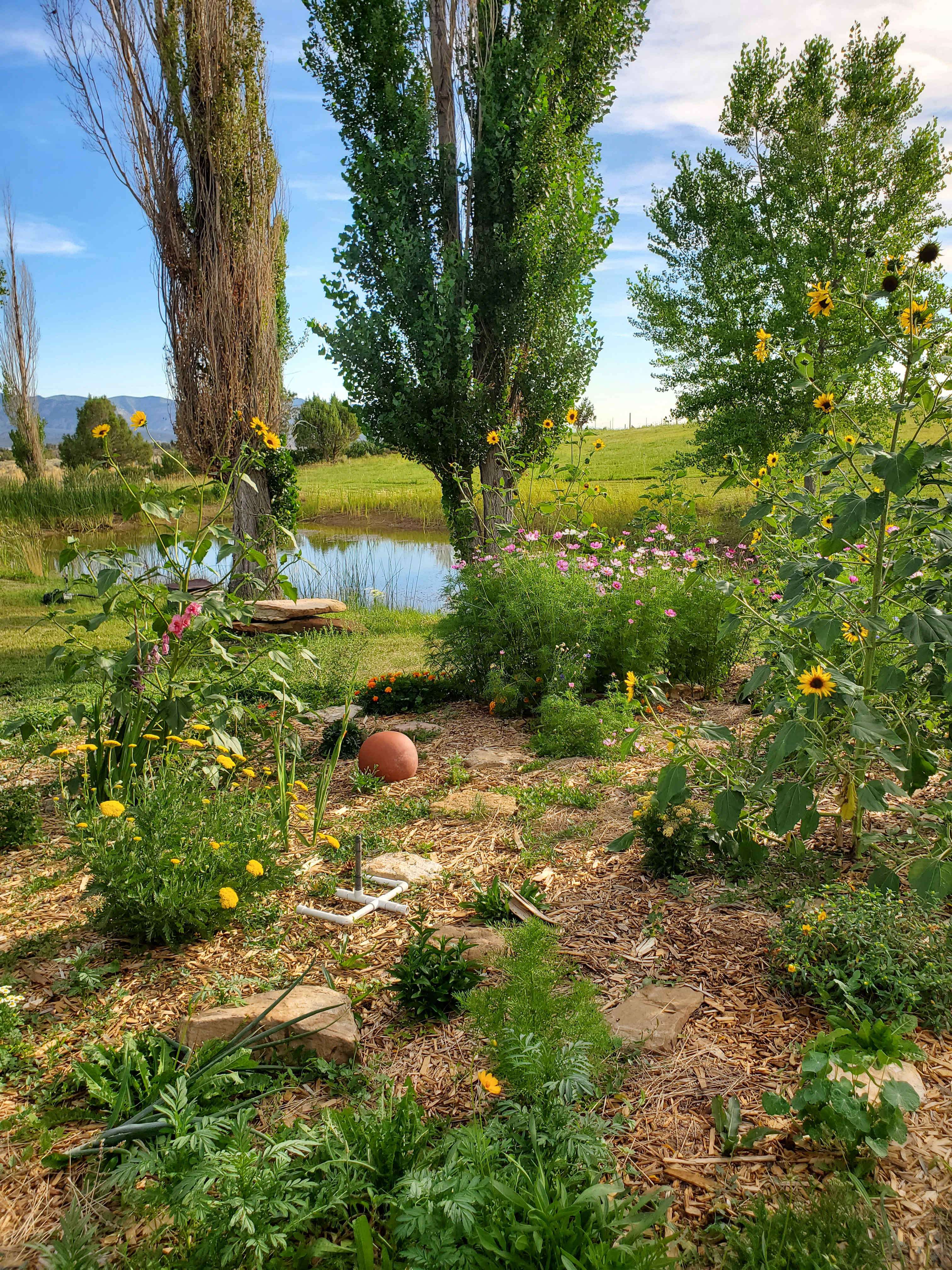 Lavender Farm Stay