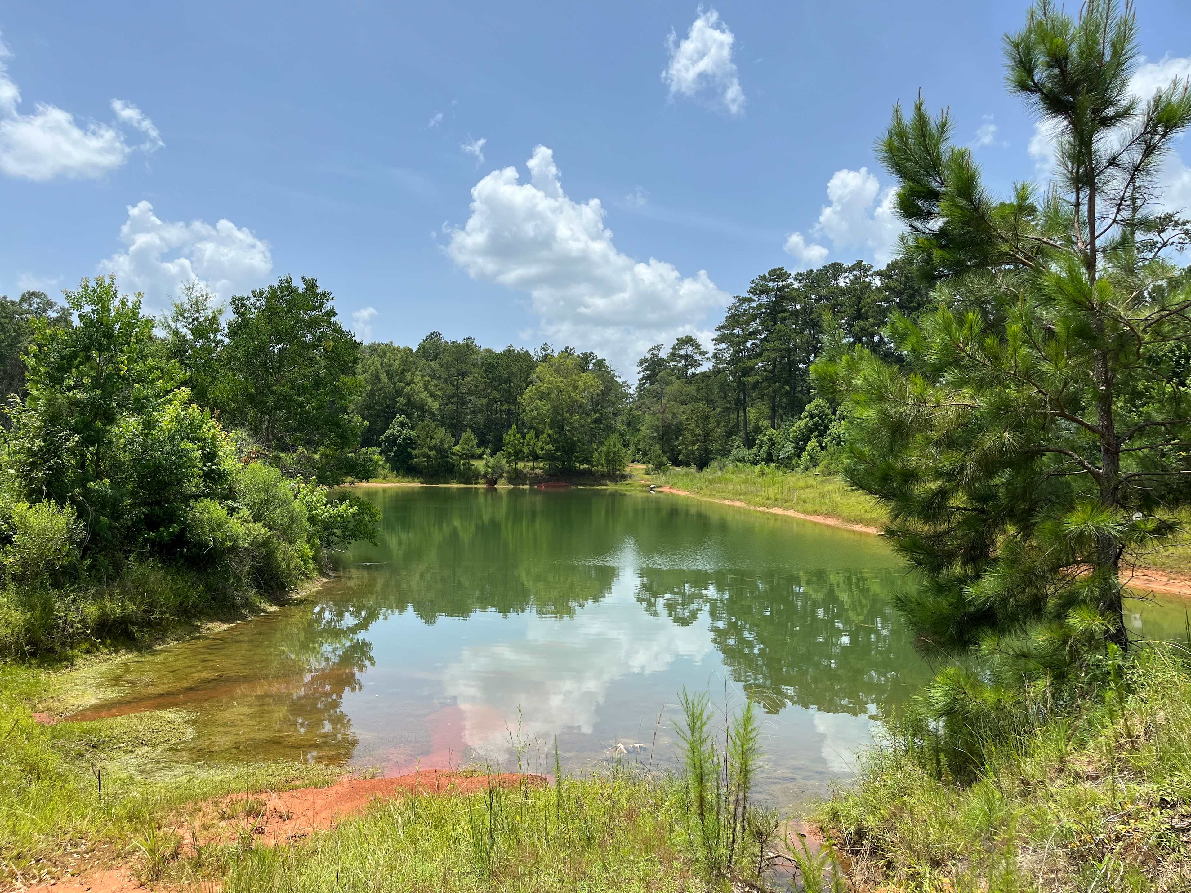 The thick woods are behind the lake. 👣