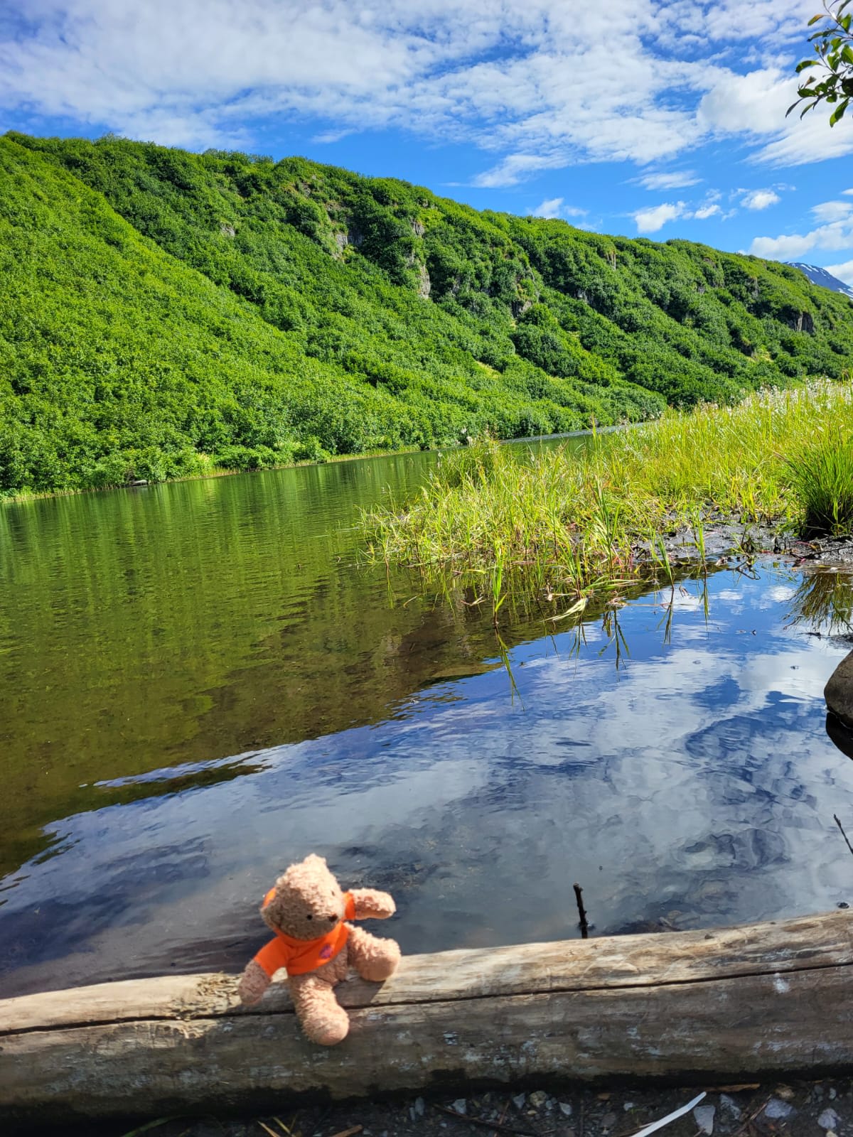 Valdez Adventure Alliance