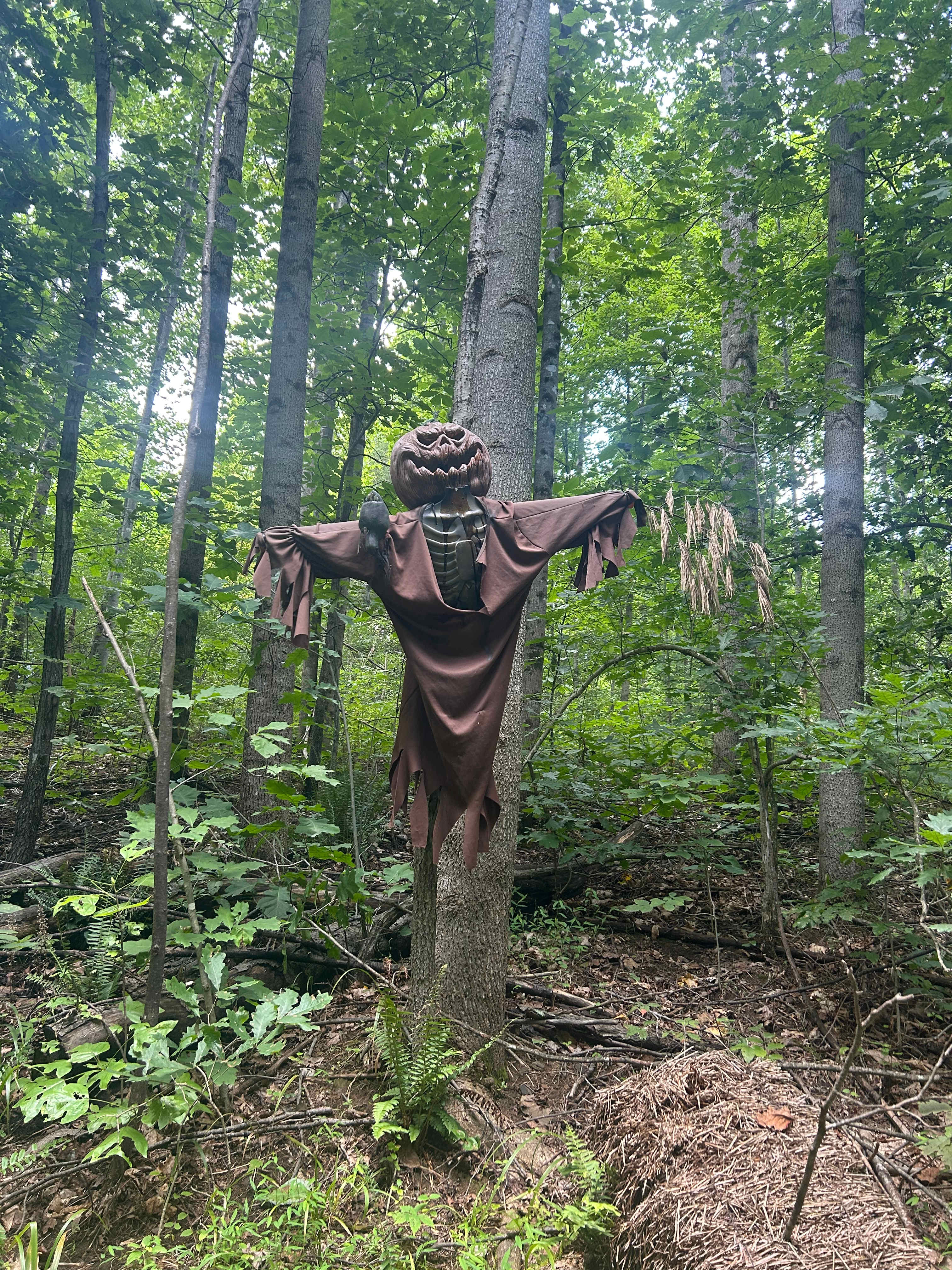 Sleeping Bear Retreat