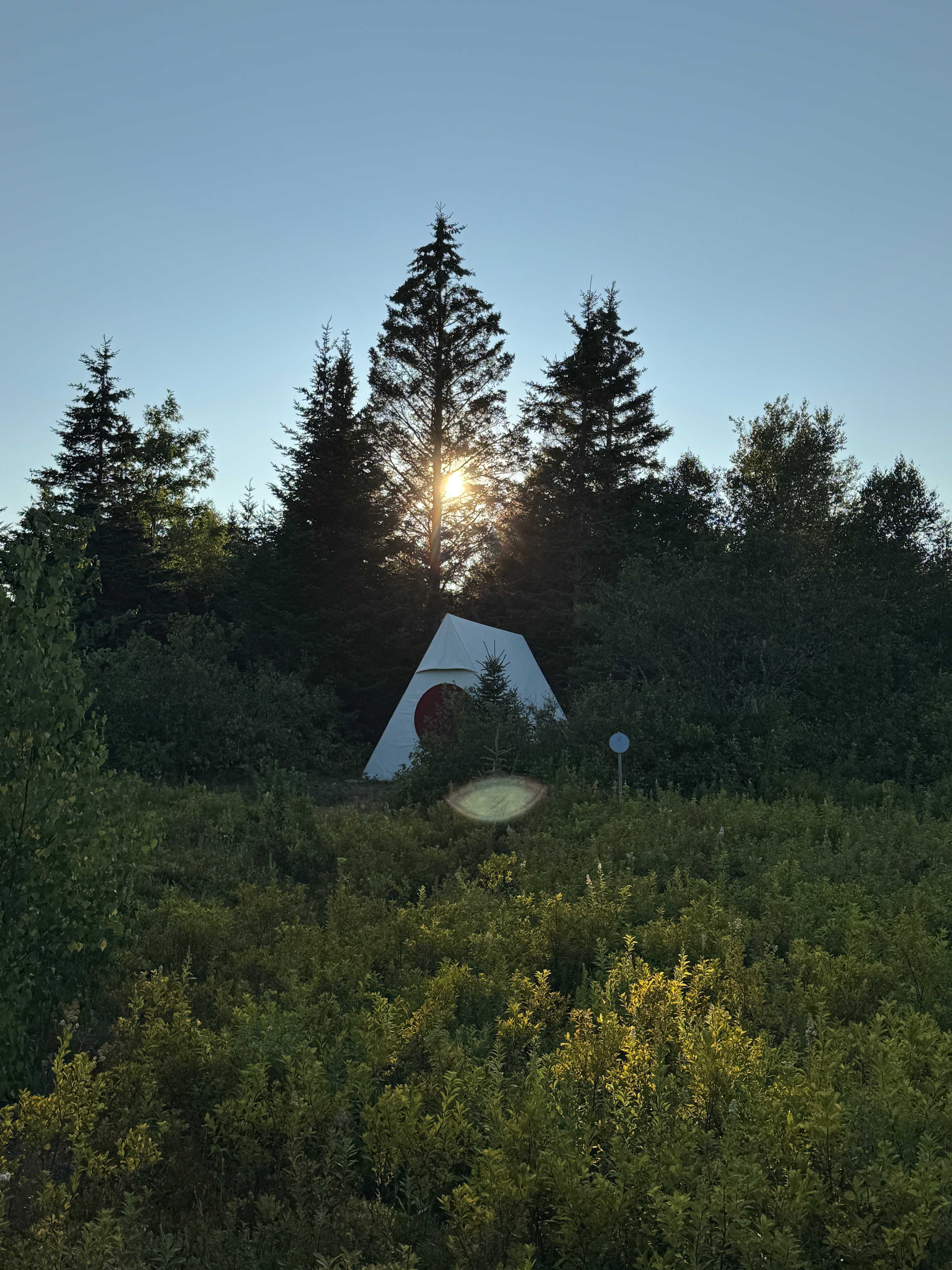 Blueberry Land Tent Platforms