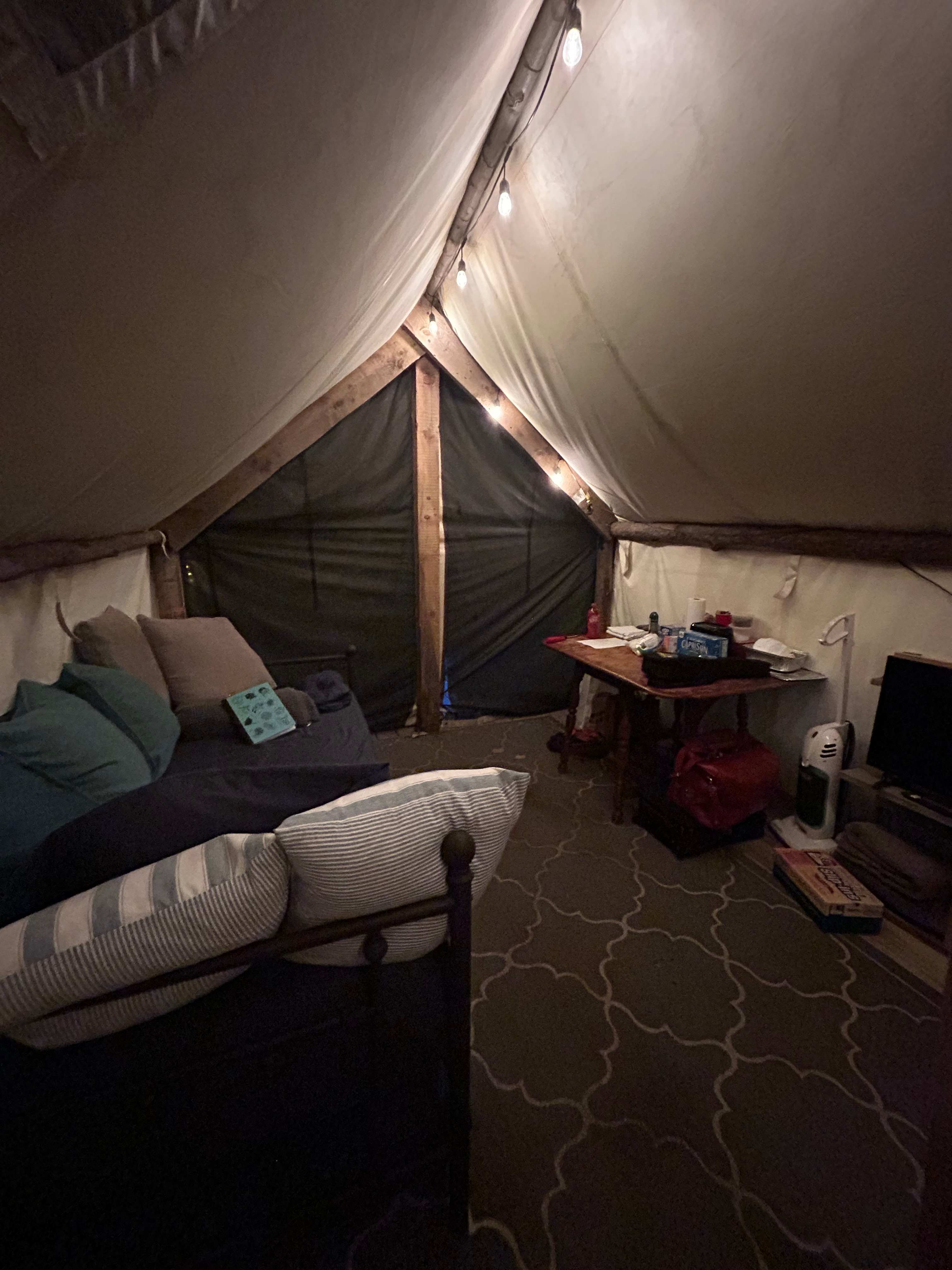 The Spotted Sandpiper