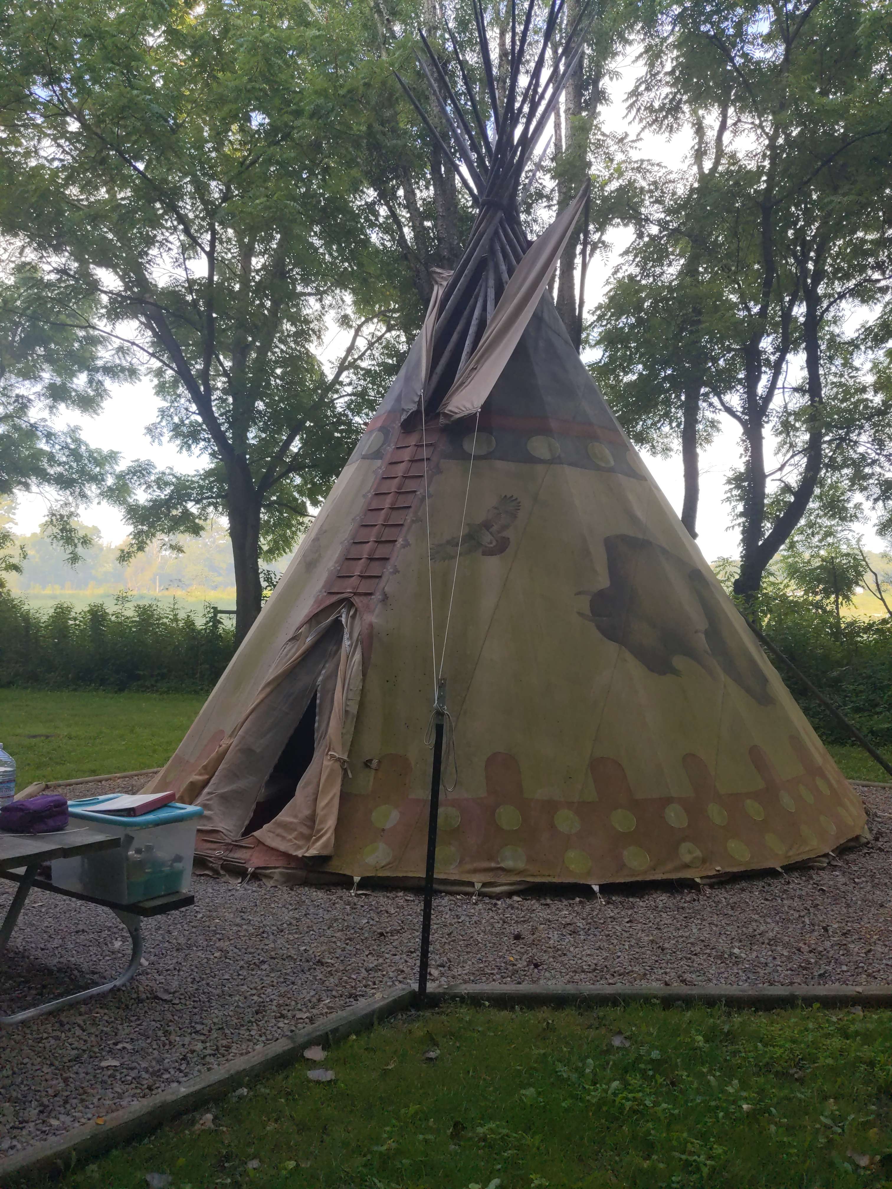 Bison tipi
