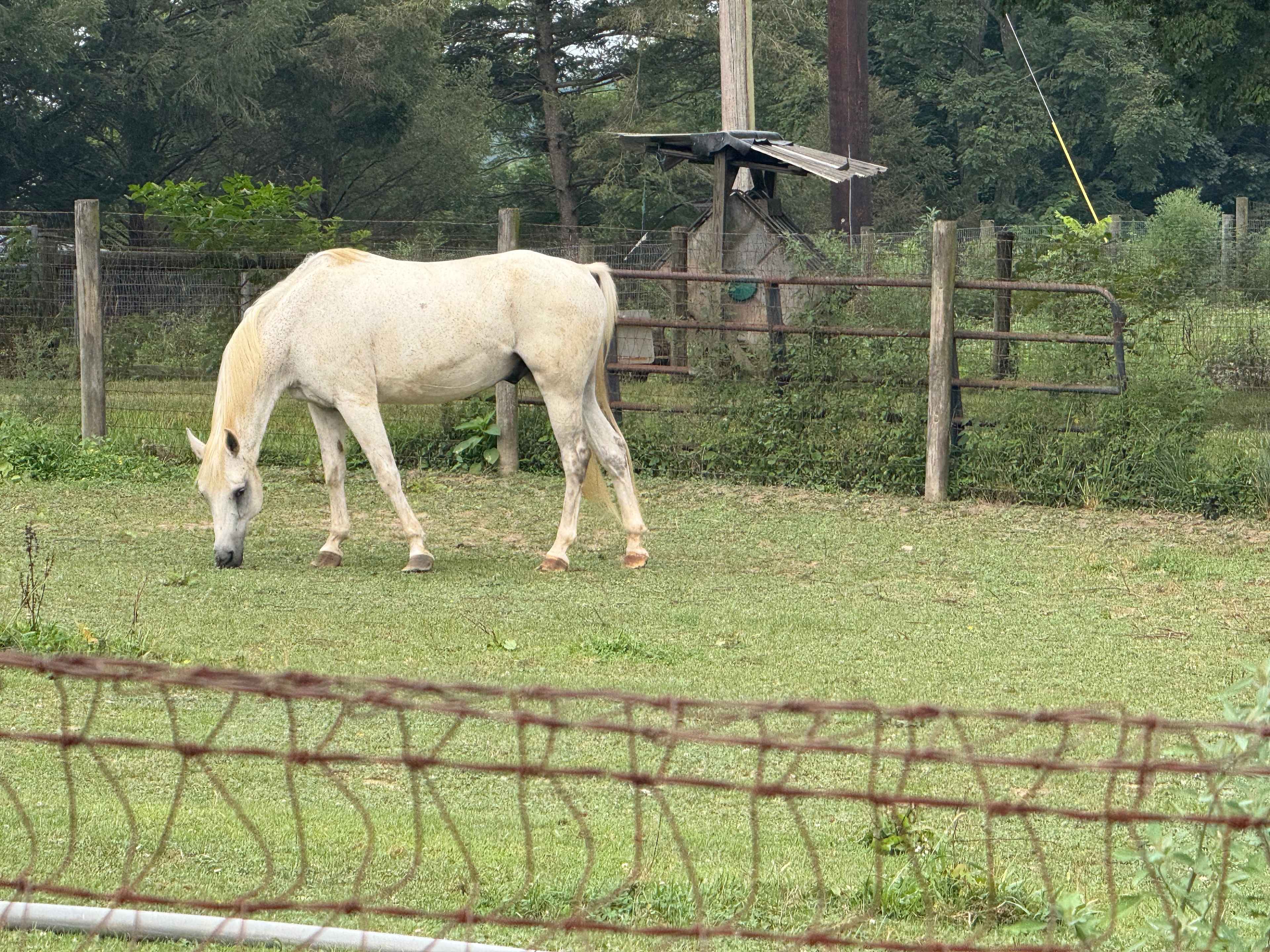 Circle S Farm Camping