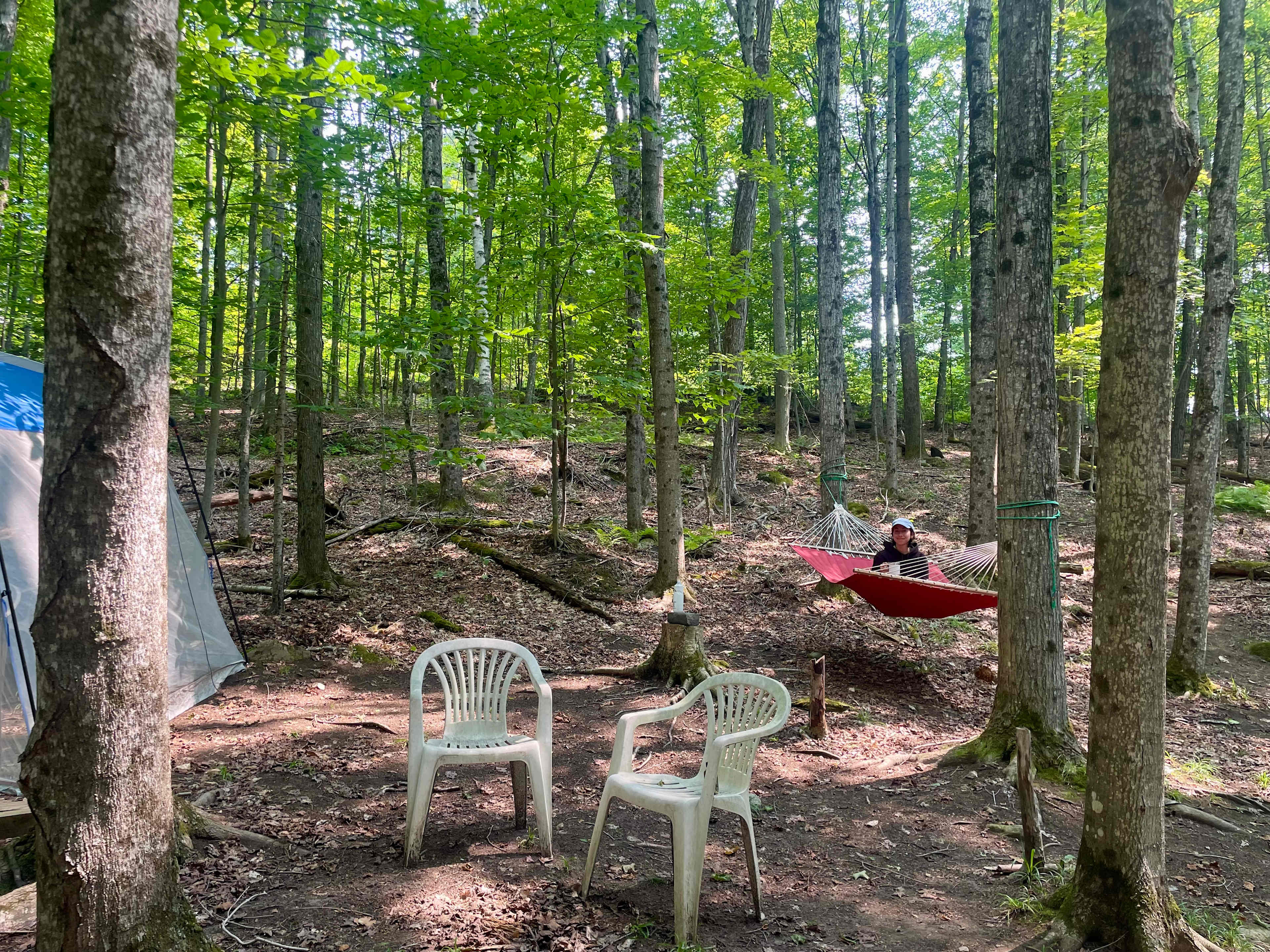 Enchanted Forest Camping