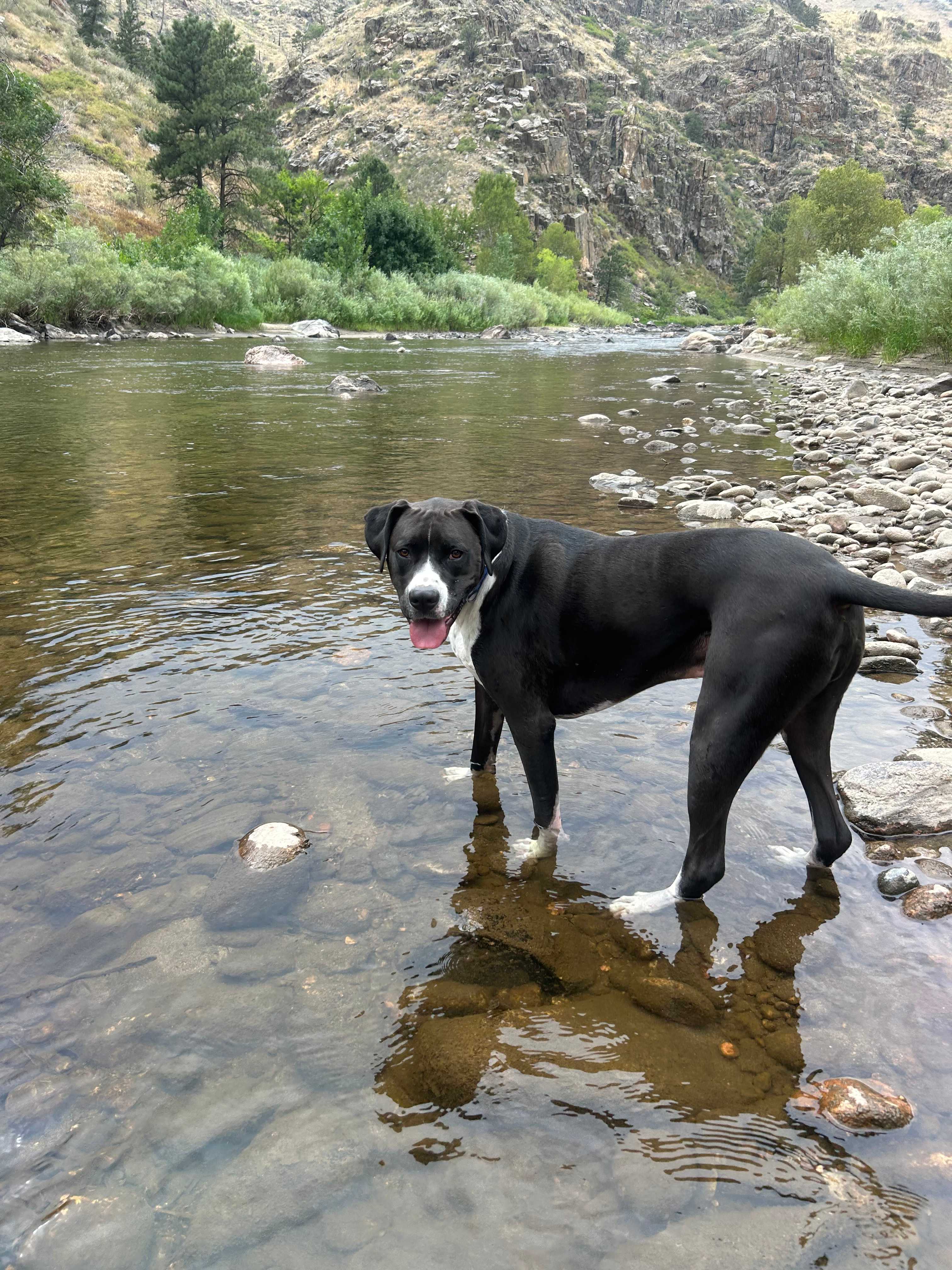Basecamp On The Poudre