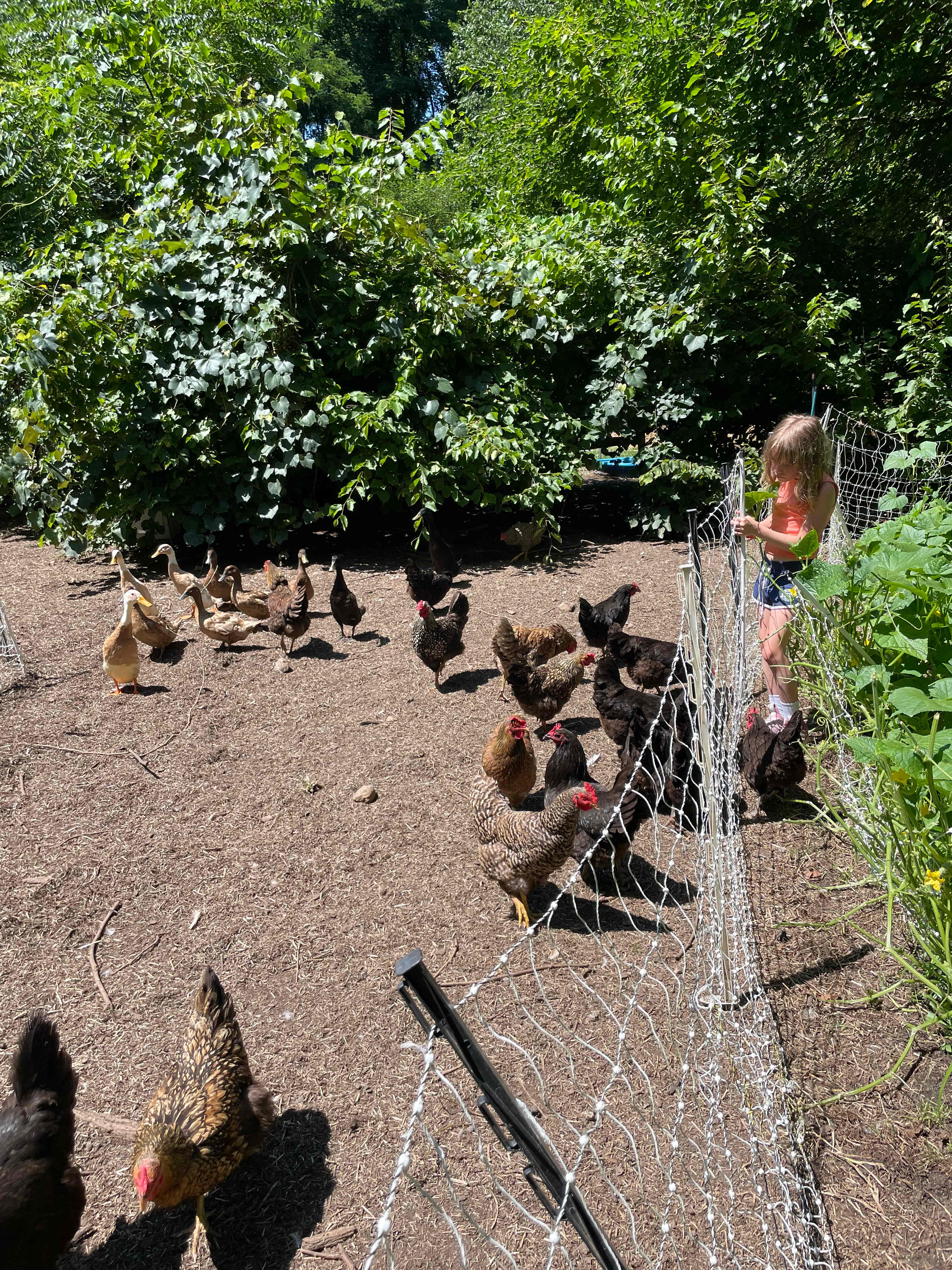 Away From The World Farm