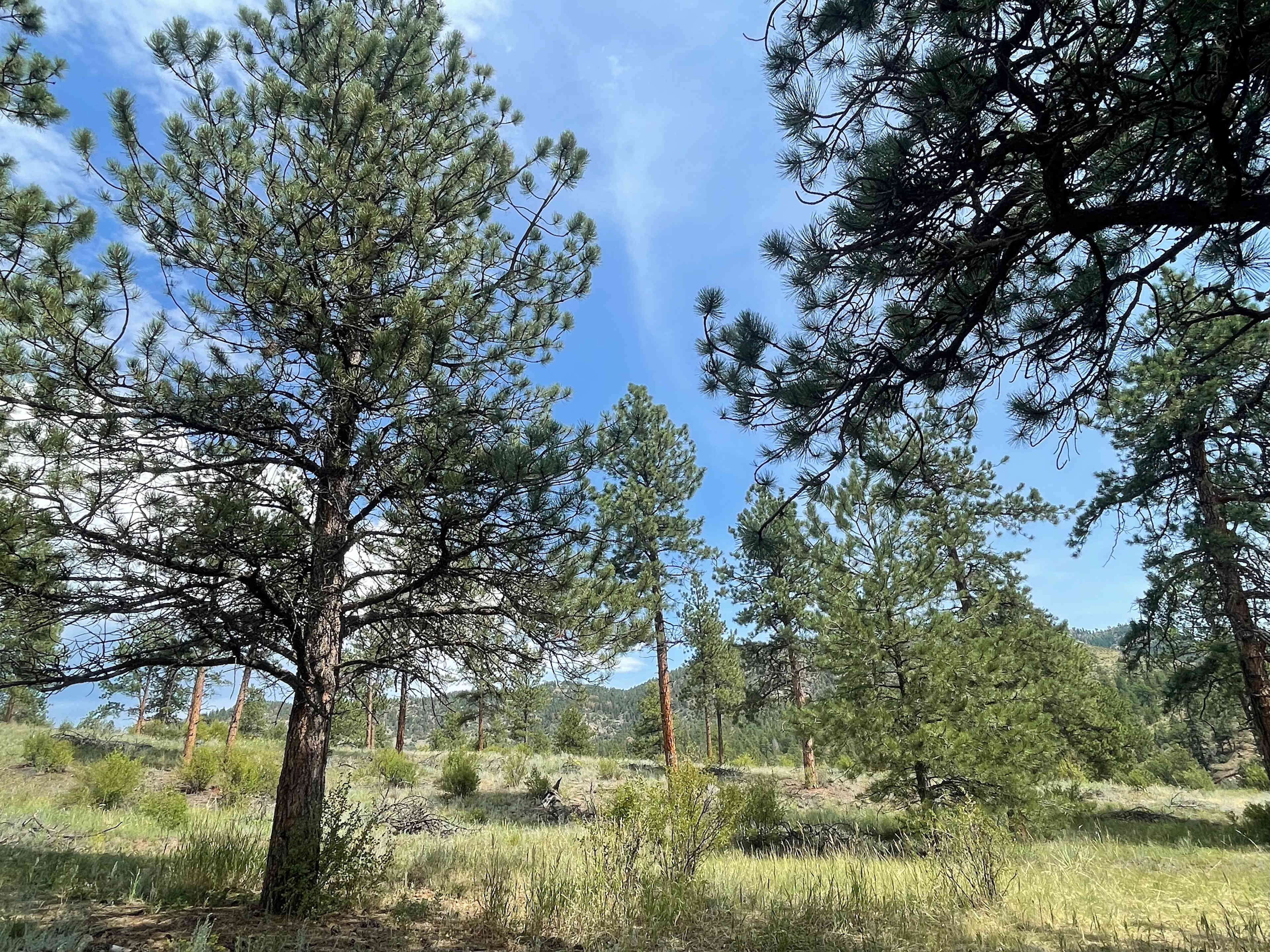 Resort Valley Ranch East
