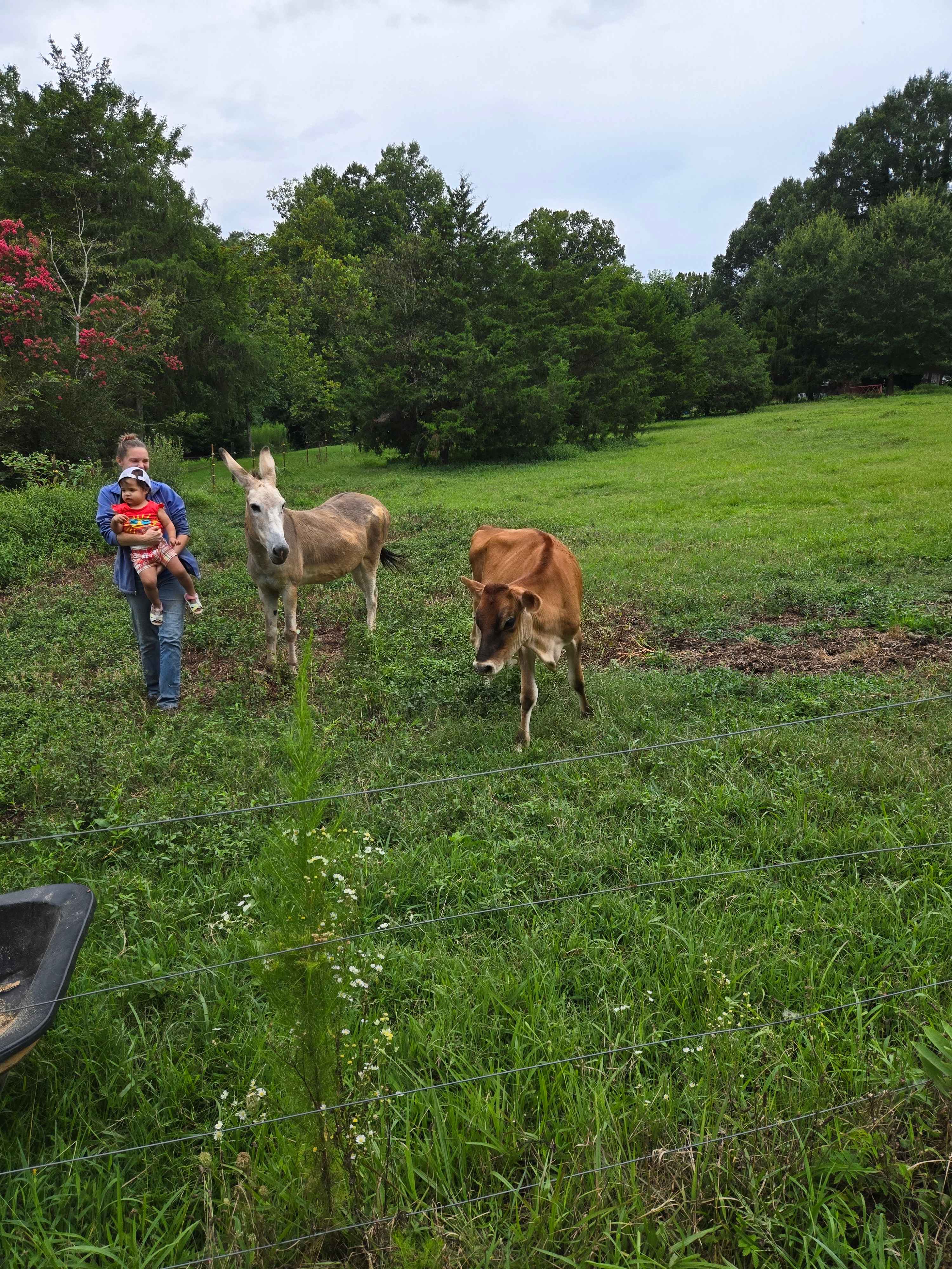 The Oasis at Harmon Creek Farms