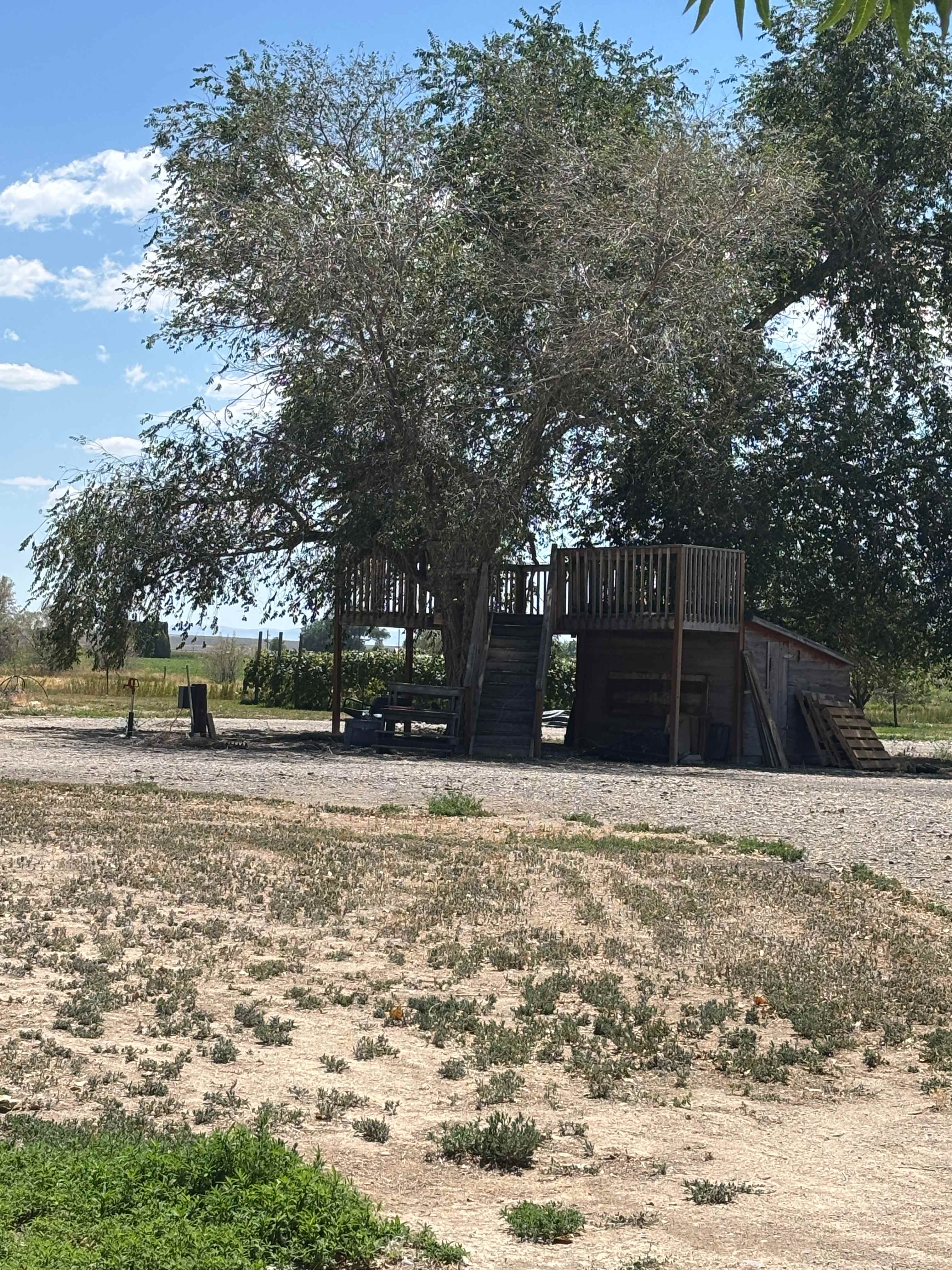 The Hess Hobby Farm