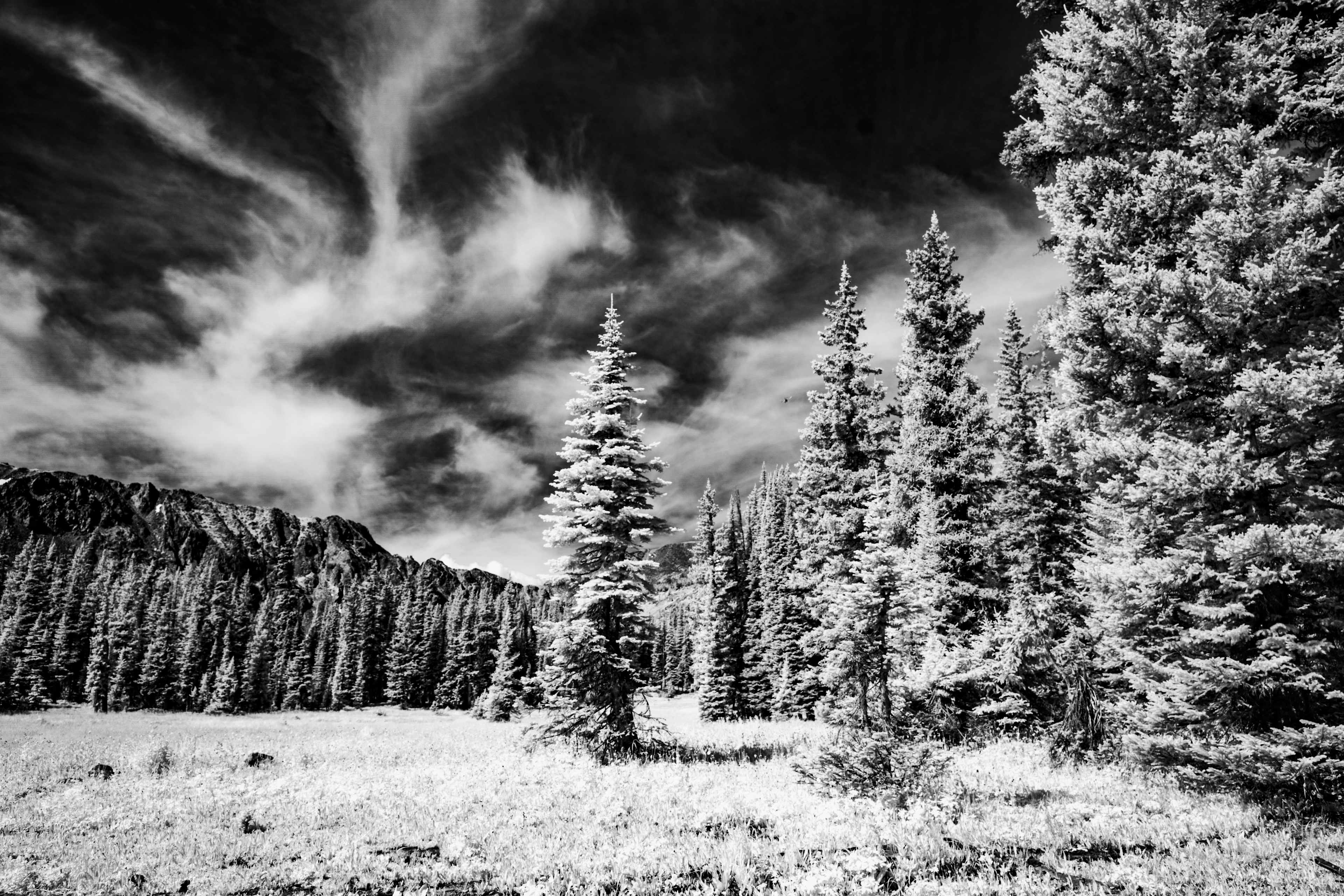 Rocky Mountain Glamping