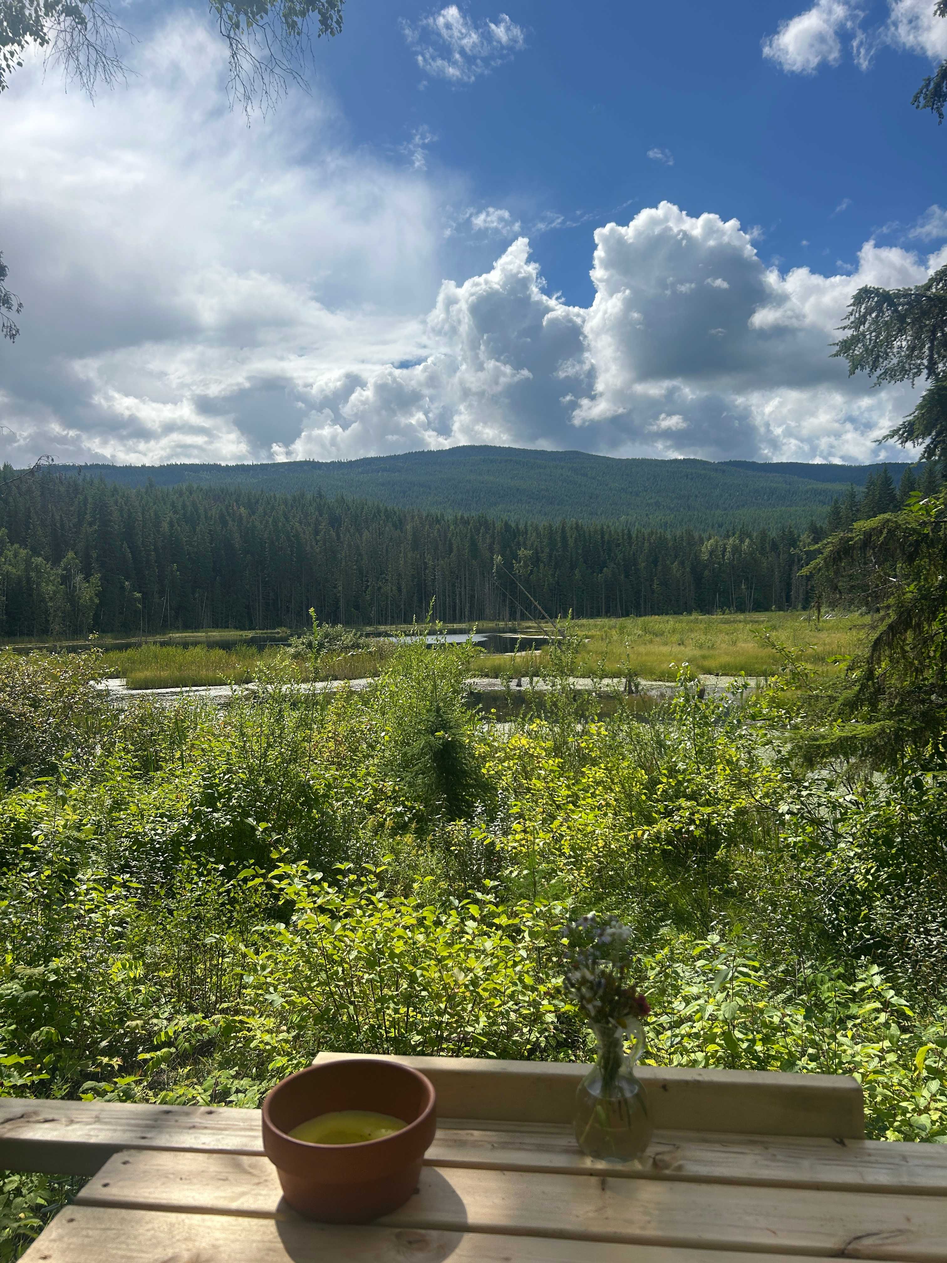 Deck views for Lakeside Lovers site #8