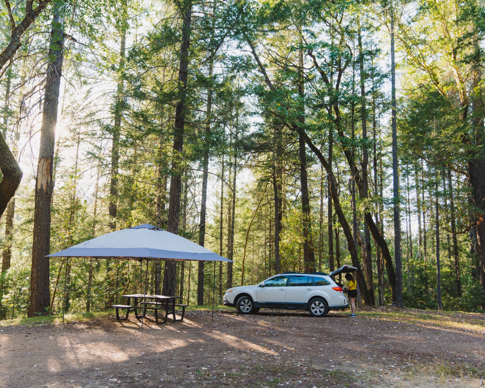 Sensei's Roost: Camp space 