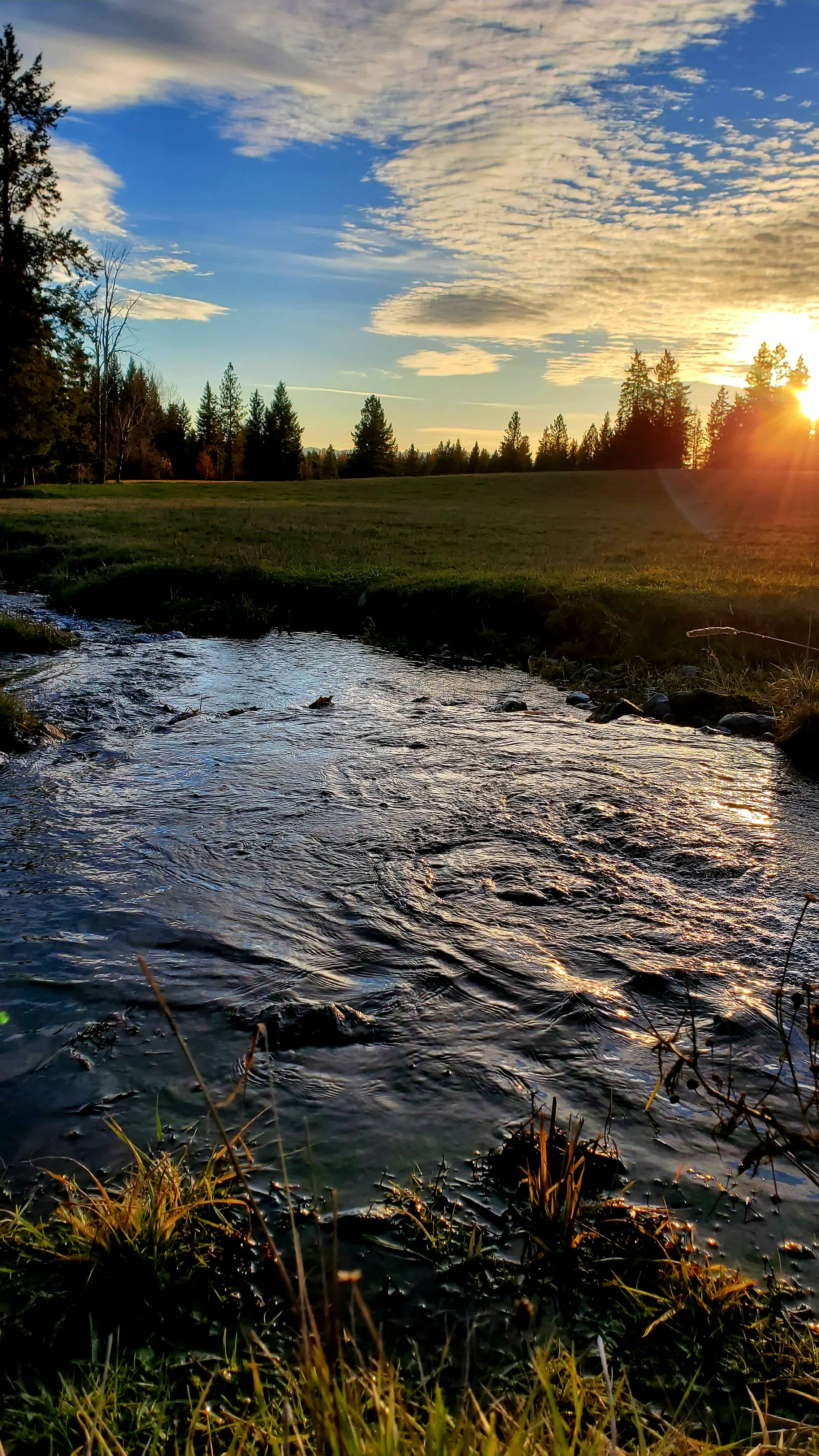 Crow Creek Homestead