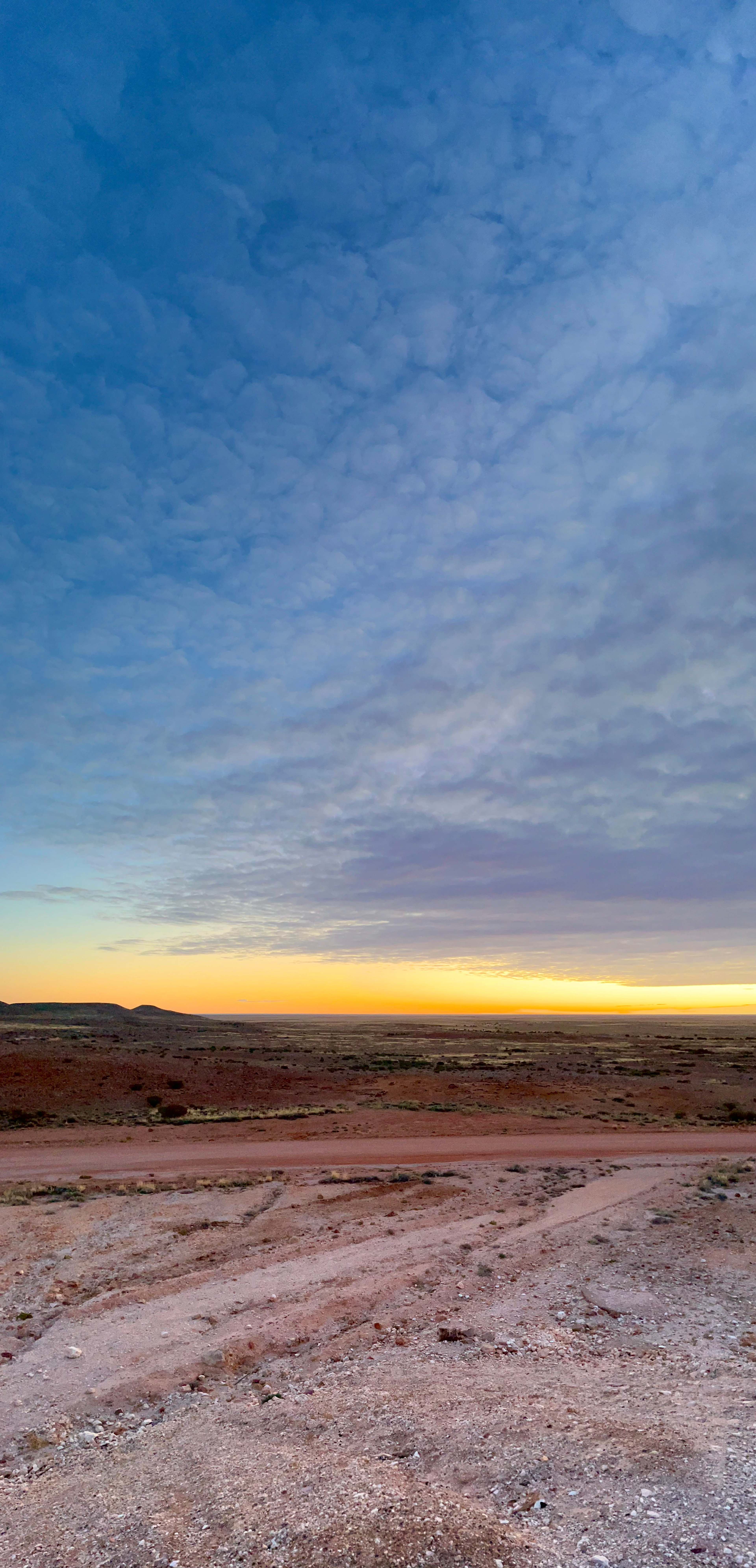 Morning colours 