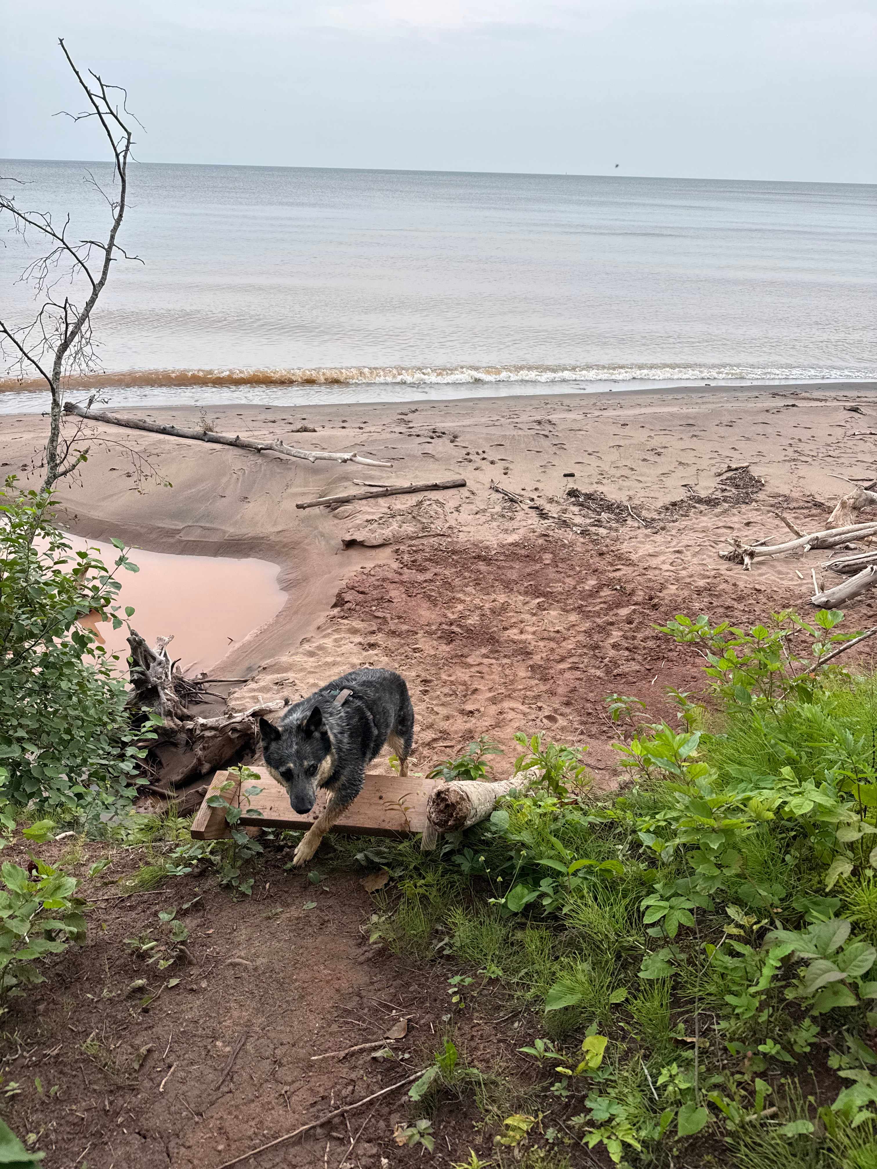 Superior Beach Camp