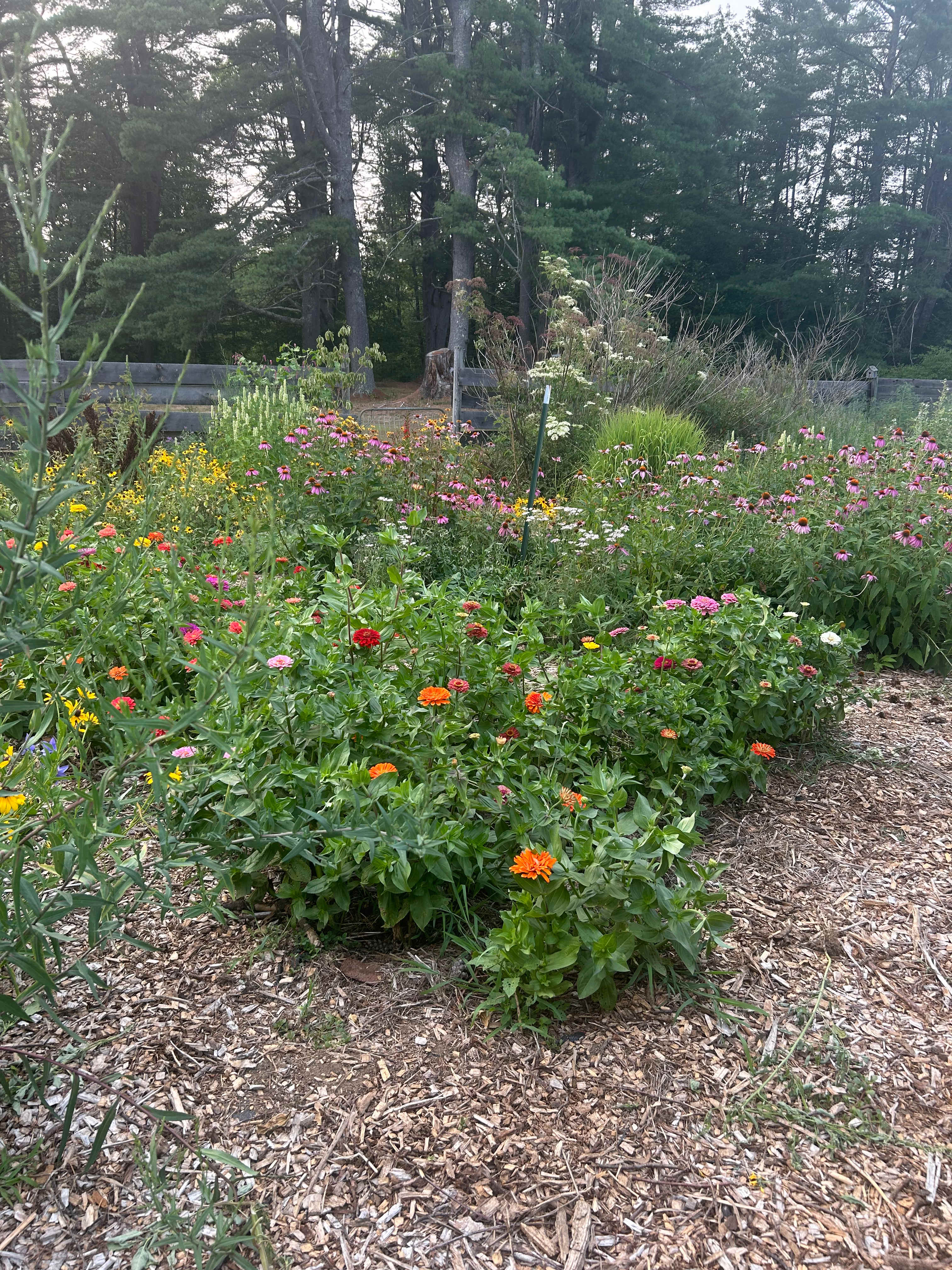 Fairwinds Farm Glamping