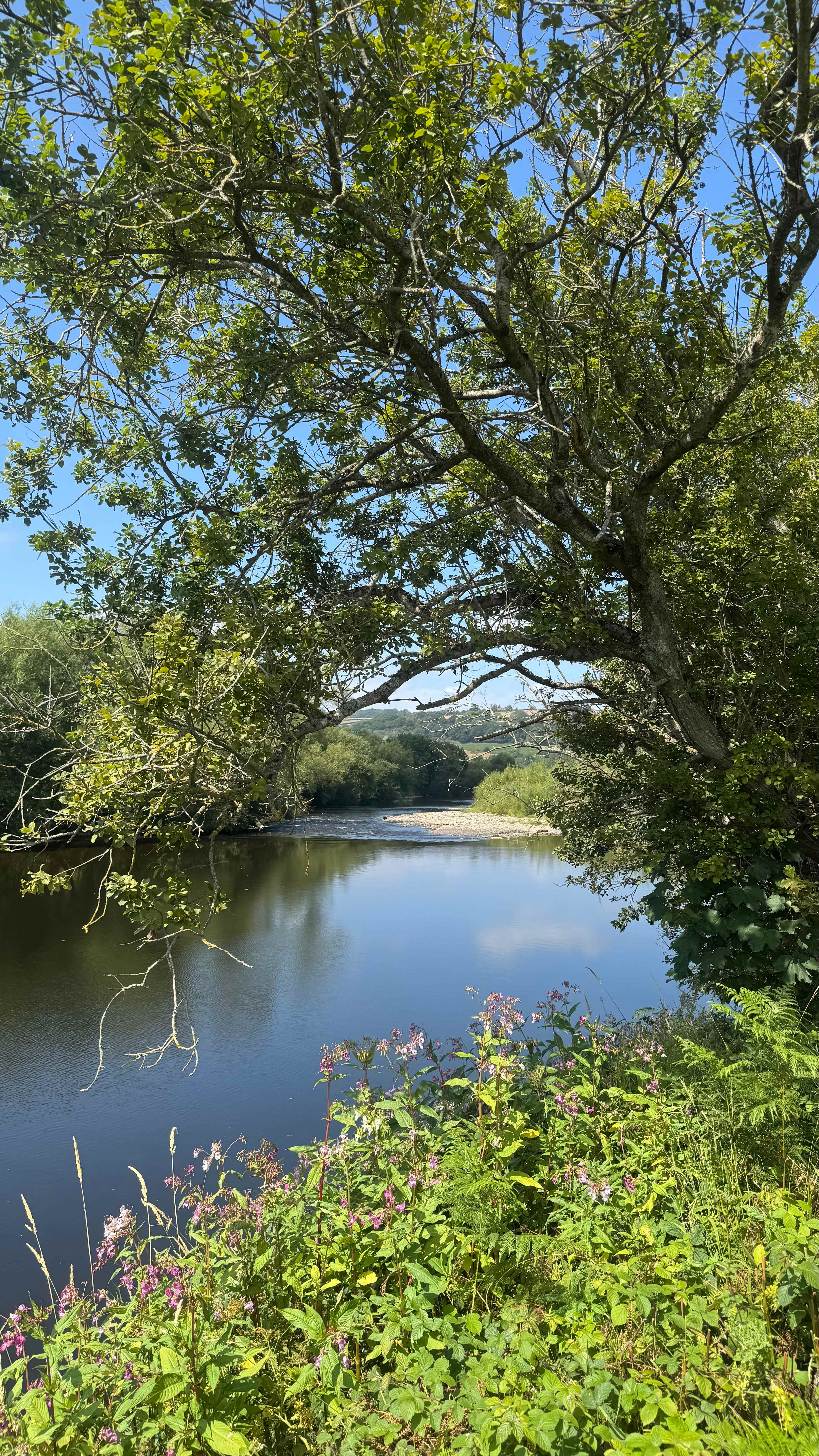 Digeddi Wildlife Camping